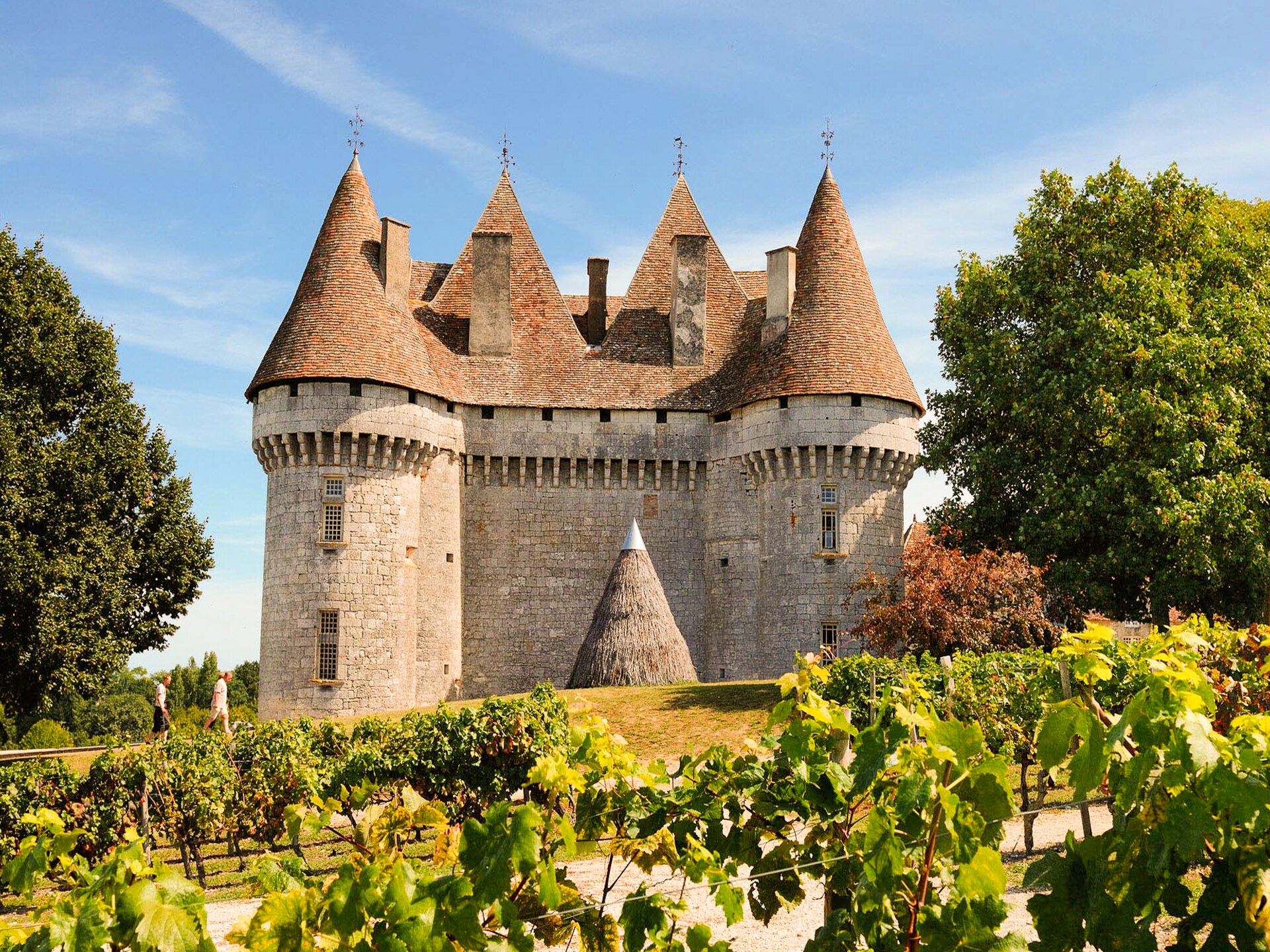 Groot vakantiehuis voor 15 personen bij de Dordogne met zwembad - foto 37