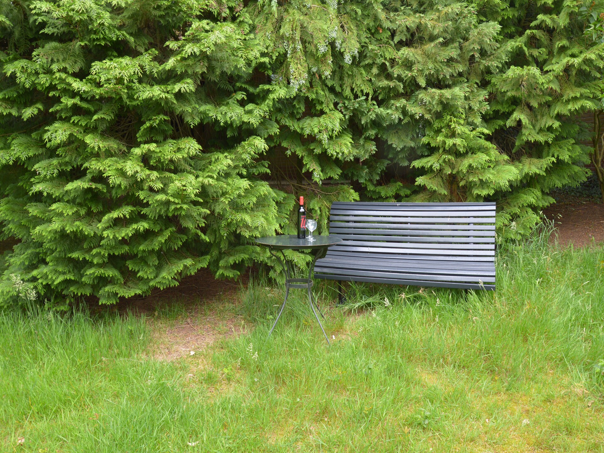 Huus in 't Hagt: Vrijstaand vakantiehuis in bosrijk Achterhoek - foto 16