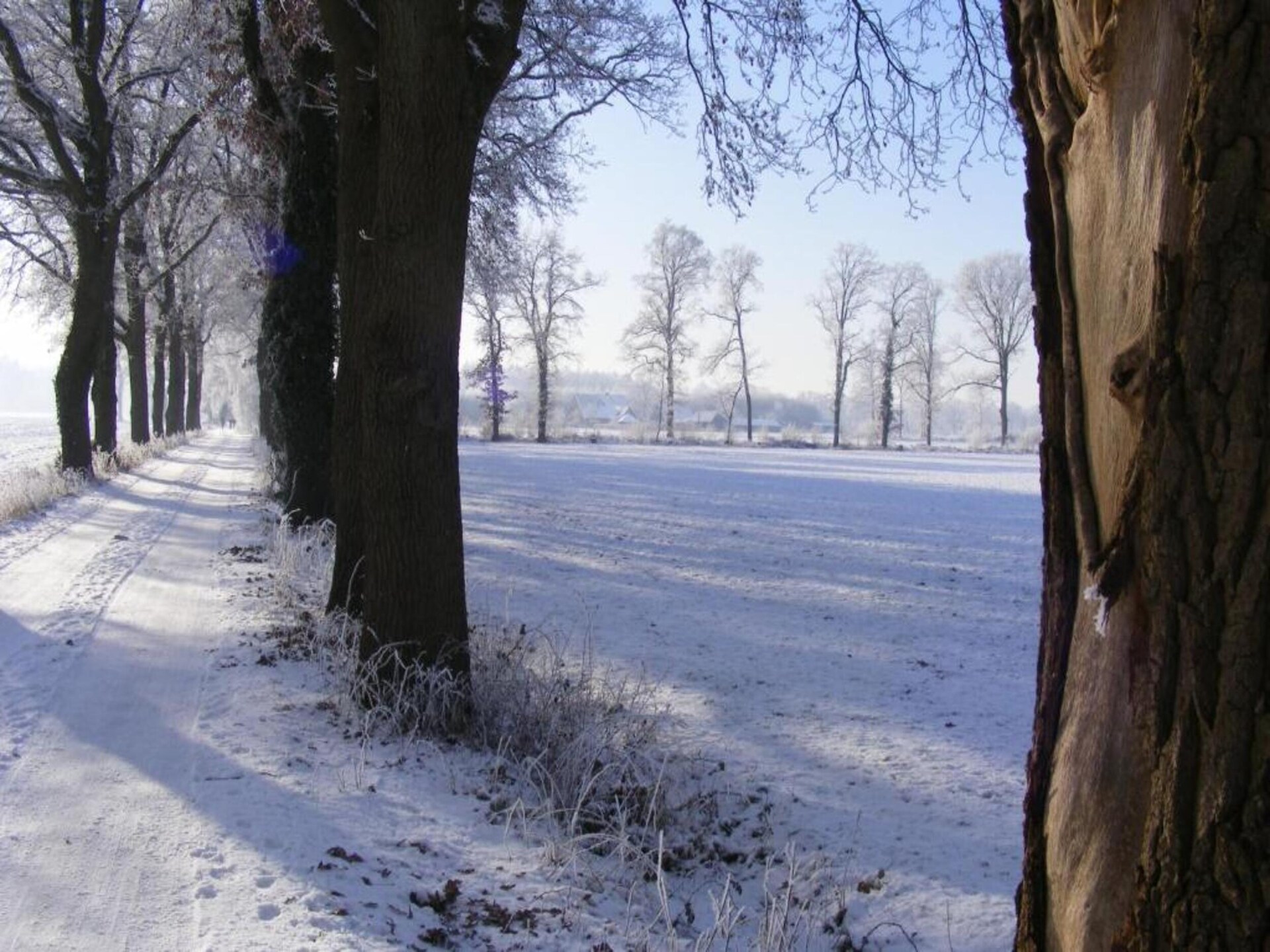 Huus in 't Hagt: Vrijstaand vakantiehuis in bosrijk Achterhoek - foto 33