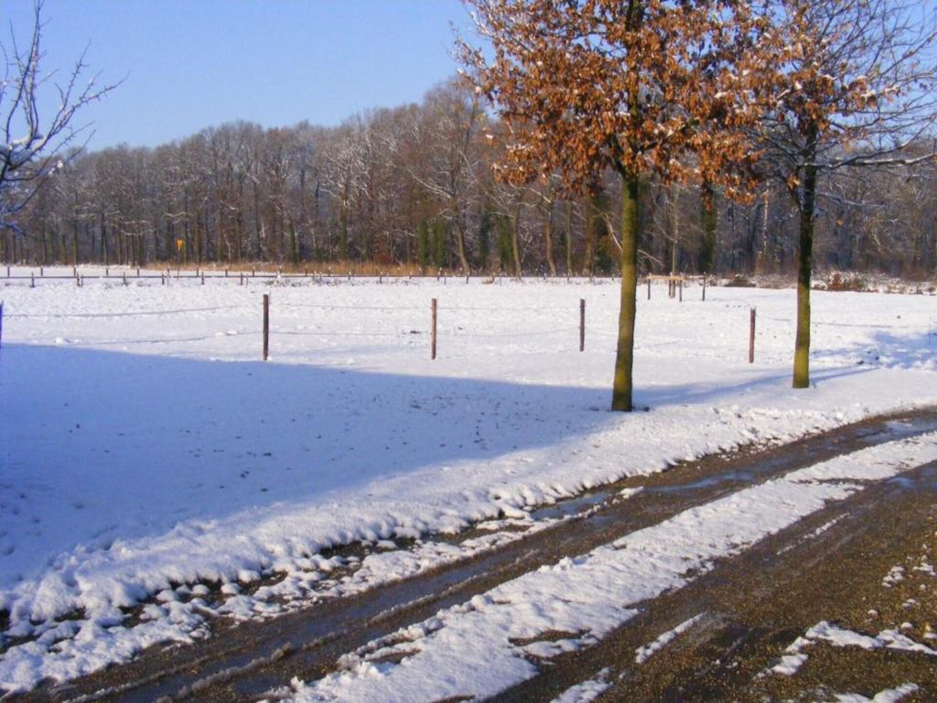 Huus in 't Hagt: Vrijstaand vakantiehuis in bosrijk Achterhoek - foto 34