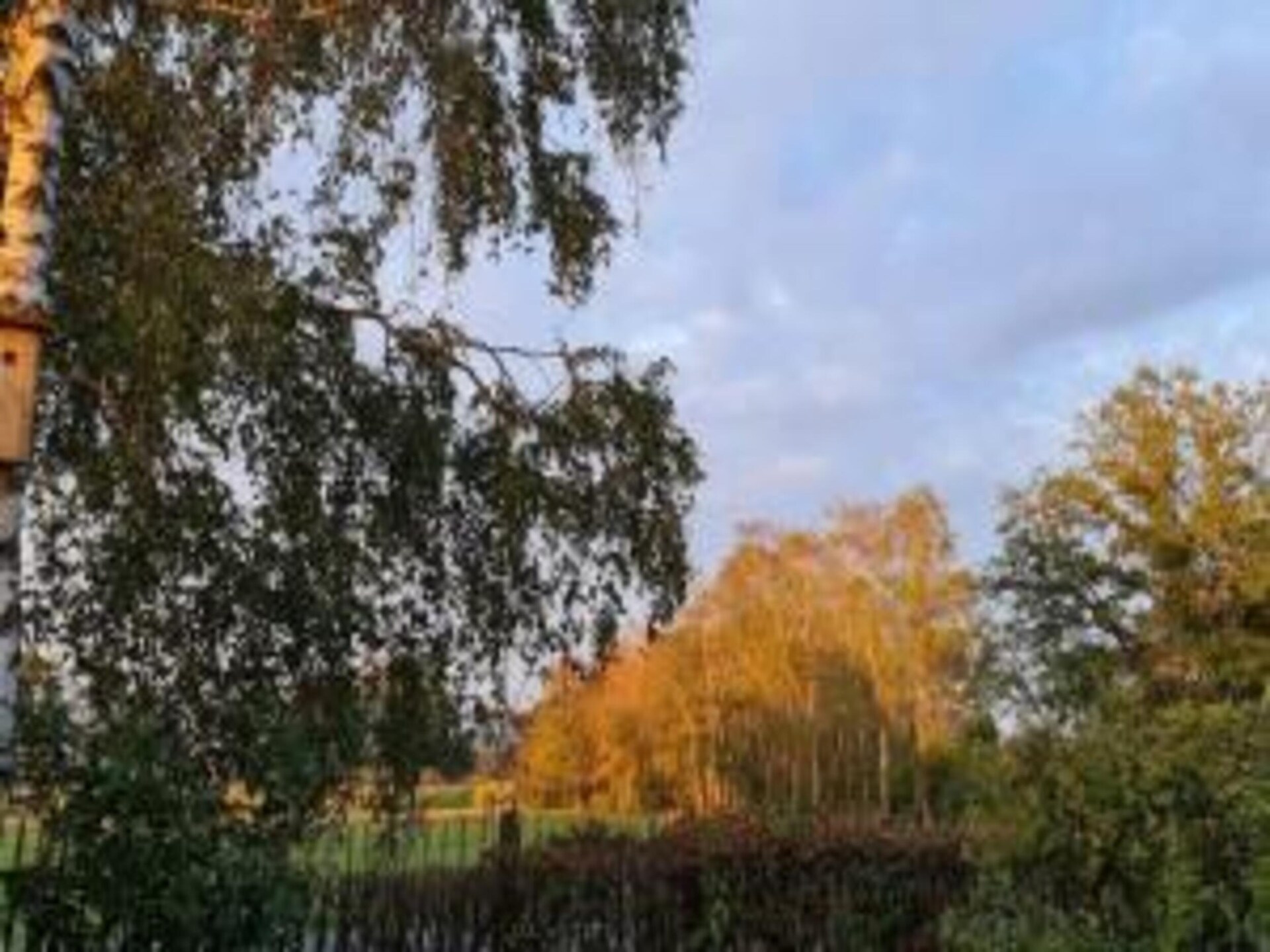 Huus in 't Hagt: Vrijstaand vakantiehuis in bosrijk Achterhoek - foto 28
