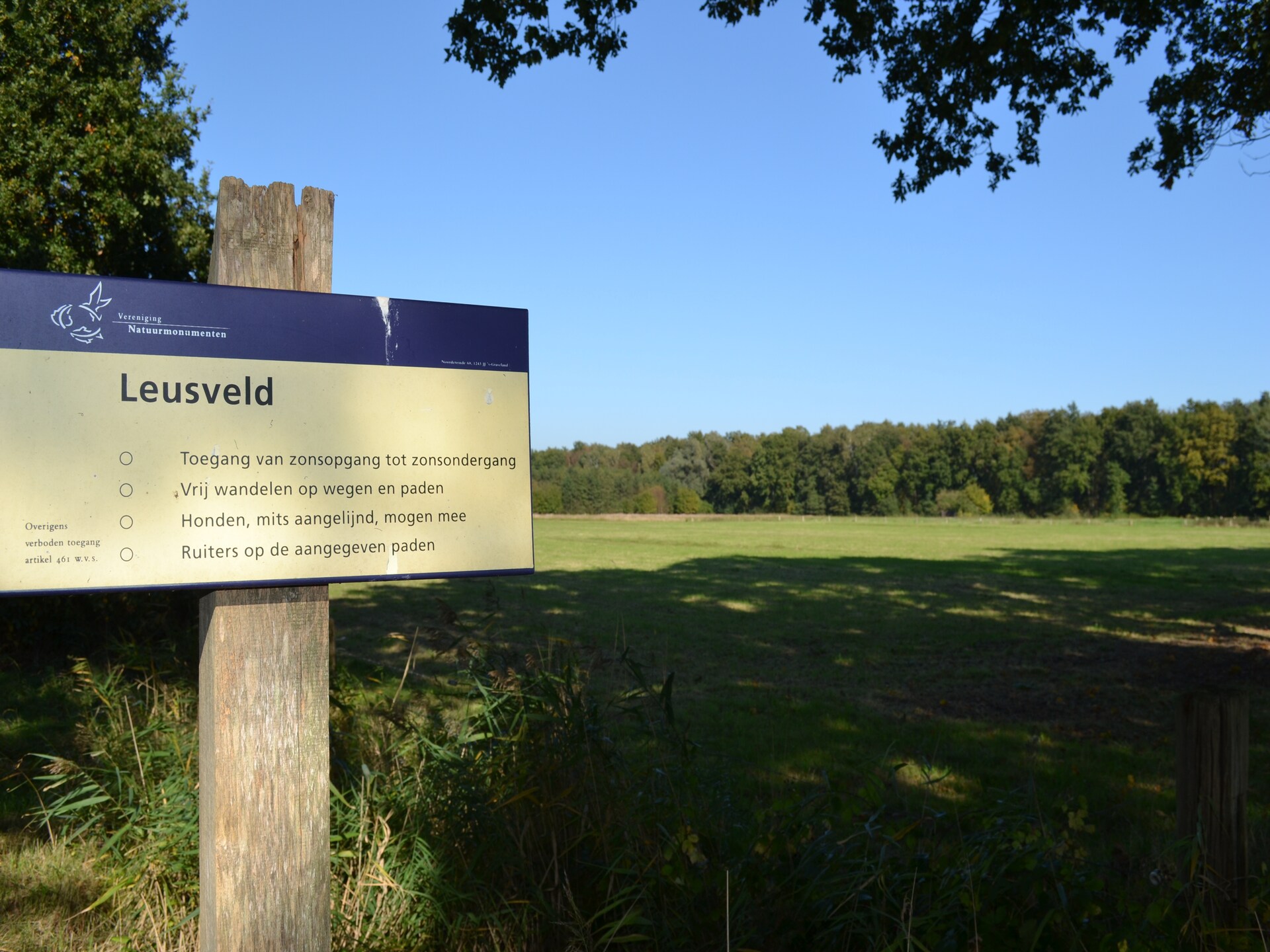 Vrijstaand vakantiehuis in de bossen van de Veluwe, hond welkom - foto 31