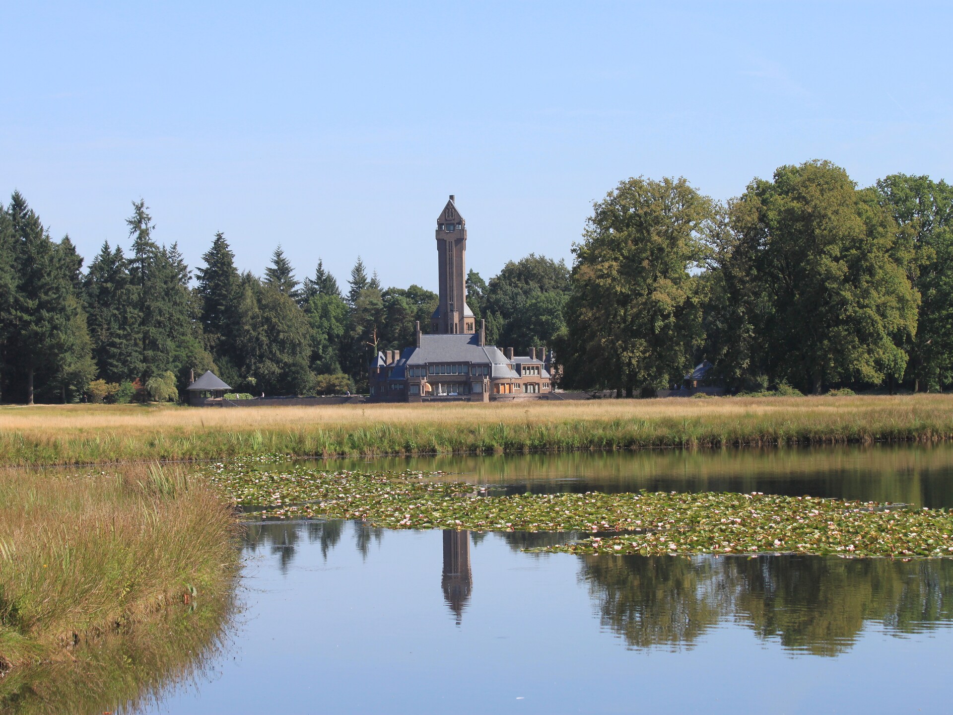 Vrijstaand vakantiehuis in de bossen van de Veluwe, hond welkom - foto 34