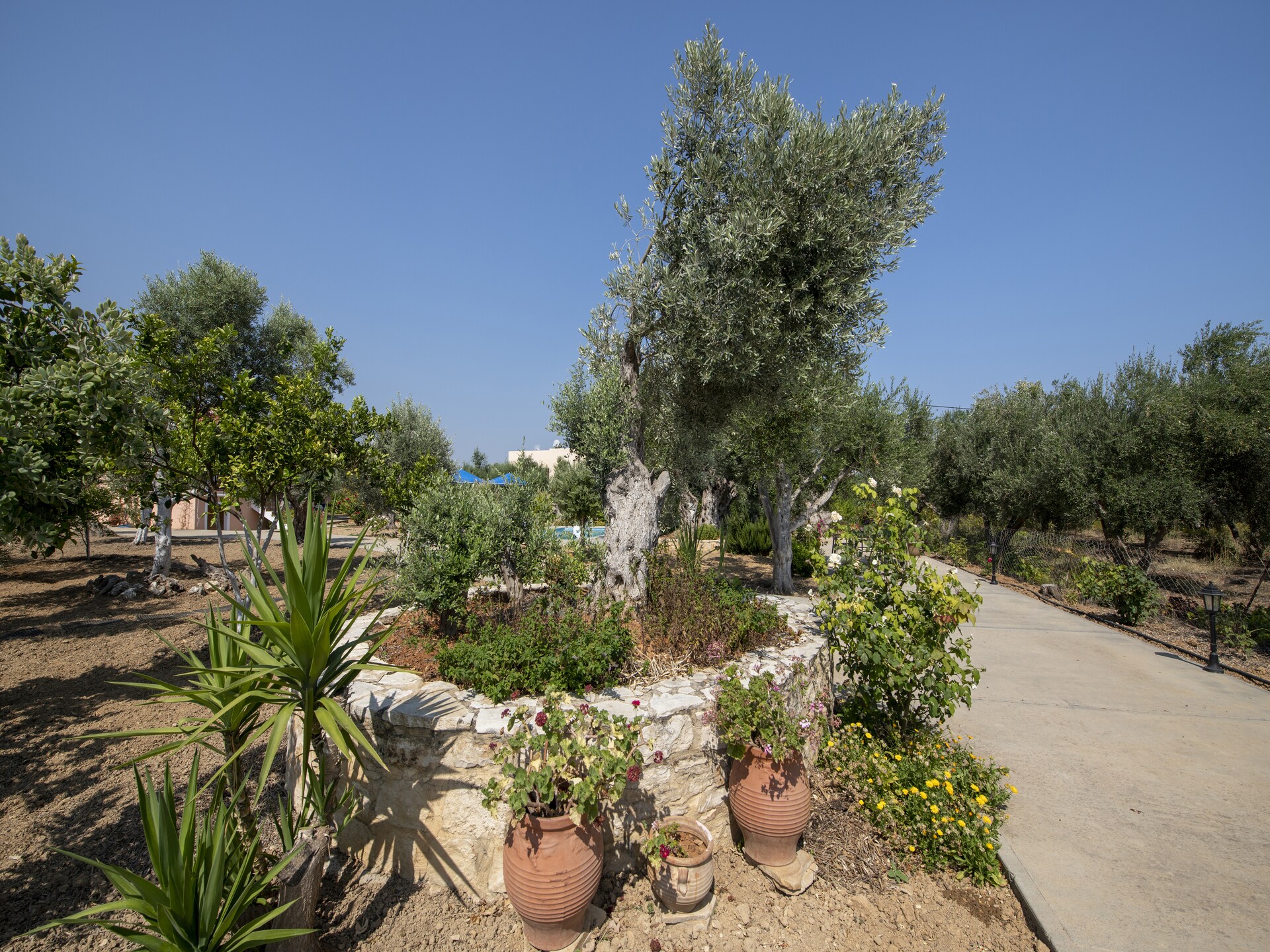 Villa Athina: Authentiek Kretenzisch vakantiehuis met privézwembad nabij Rethymno - foto 27
