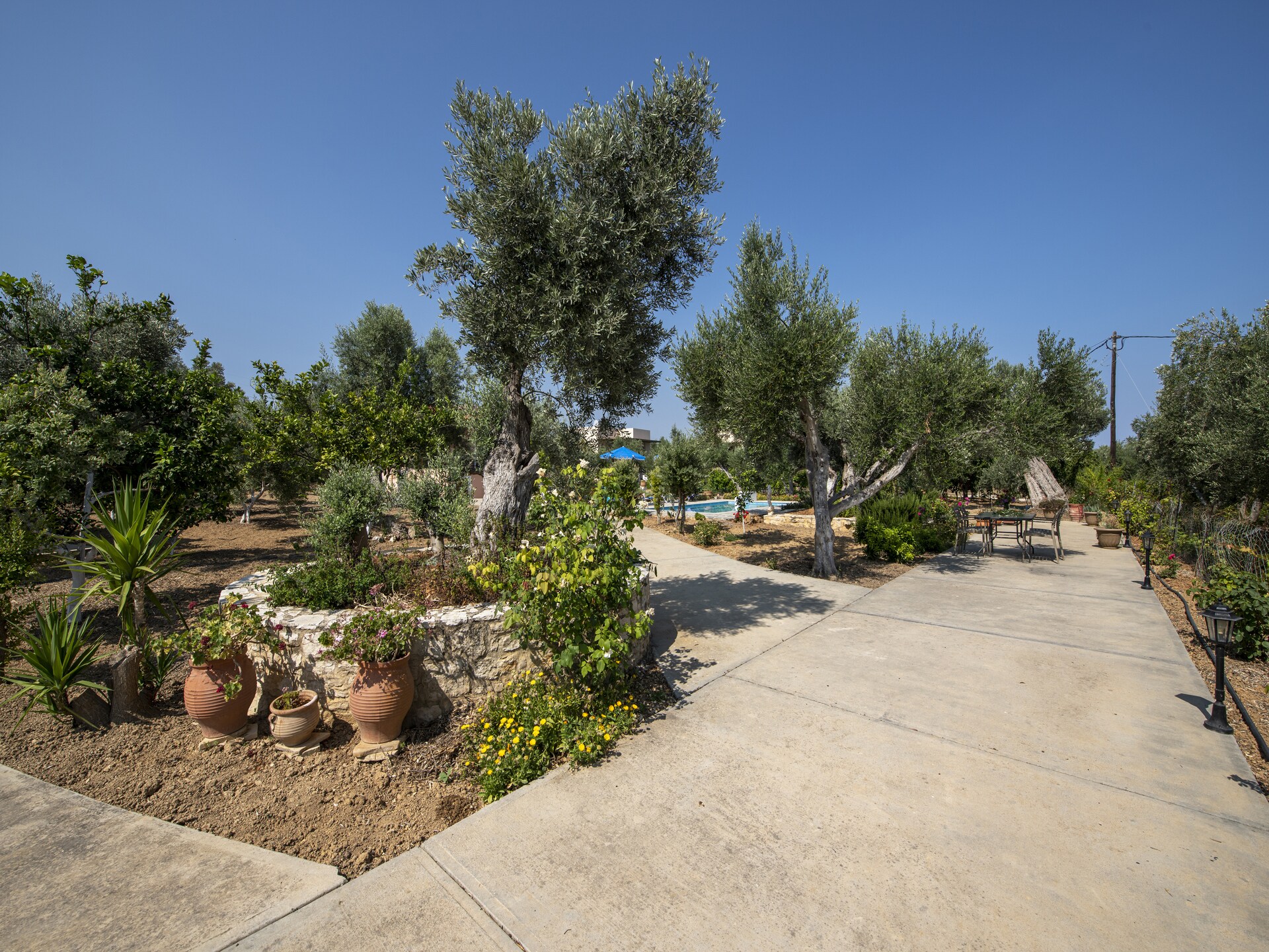 Villa Athina: Authentiek Kretenzisch vakantiehuis met privézwembad nabij Rethymno - foto 21