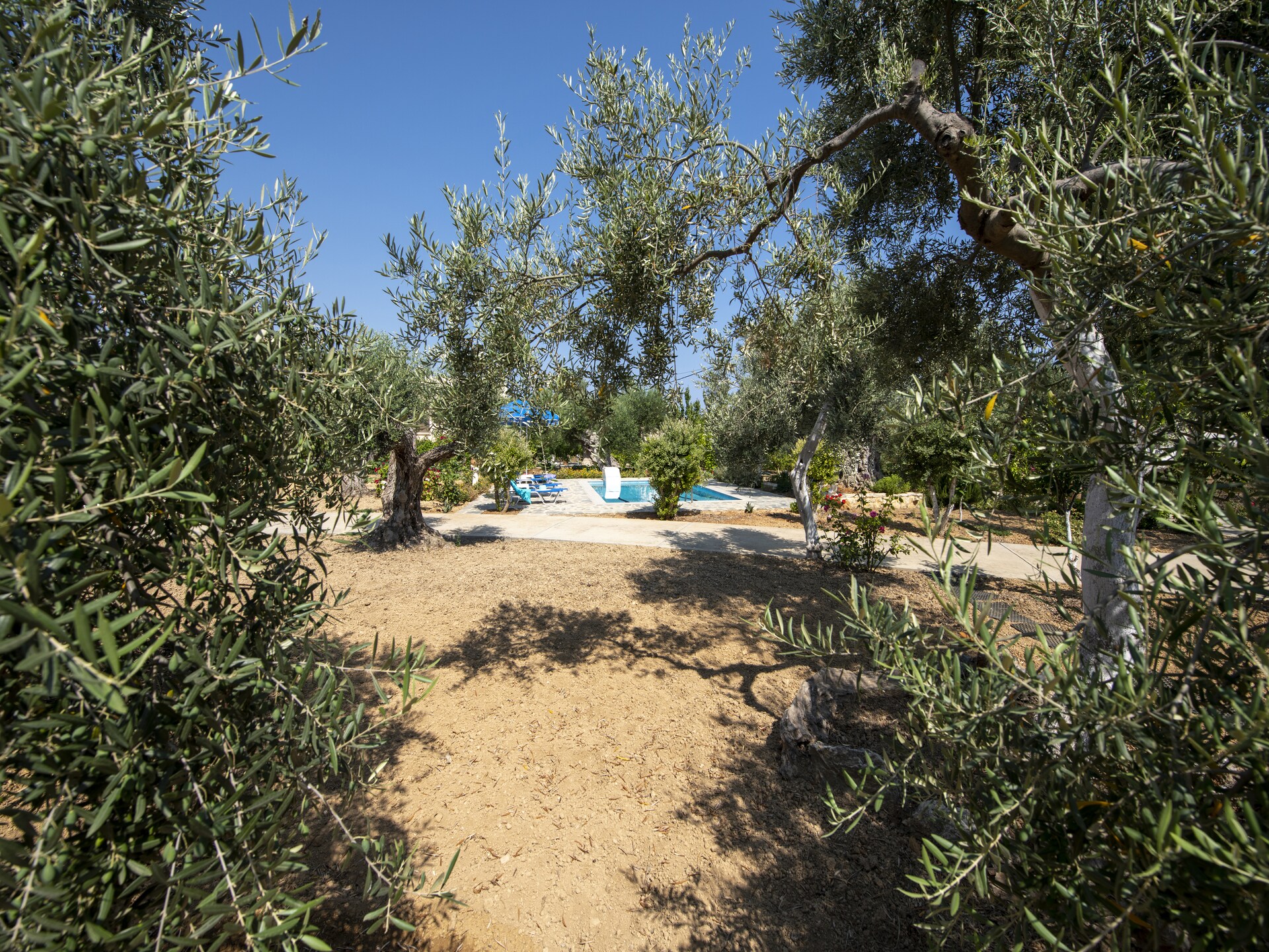 Villa Athina: Authentiek Kretenzisch vakantiehuis met privézwembad nabij Rethymno - foto 28