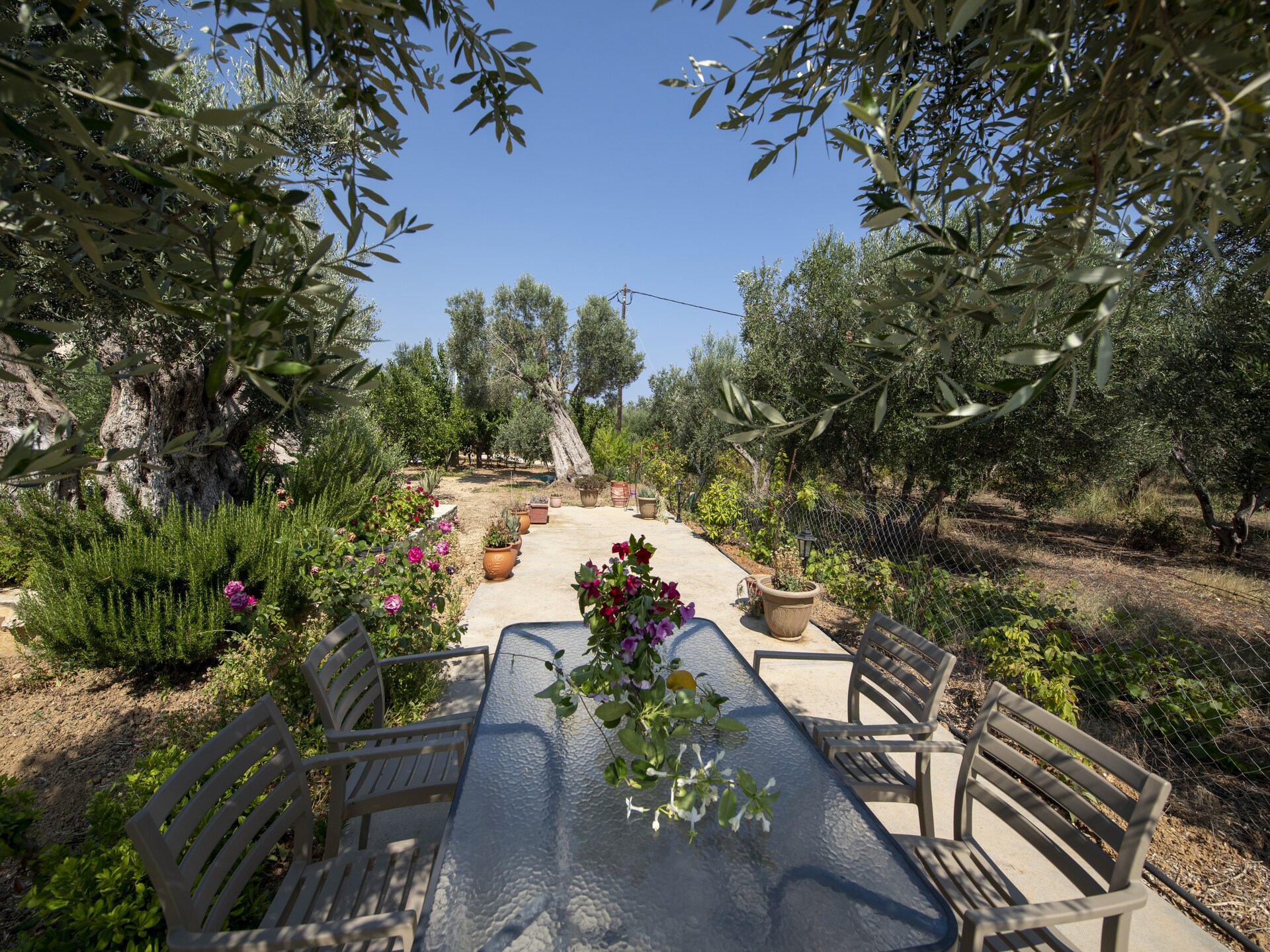 Villa Athina: Authentiek Kretenzisch vakantiehuis met privézwembad nabij Rethymno - foto 29