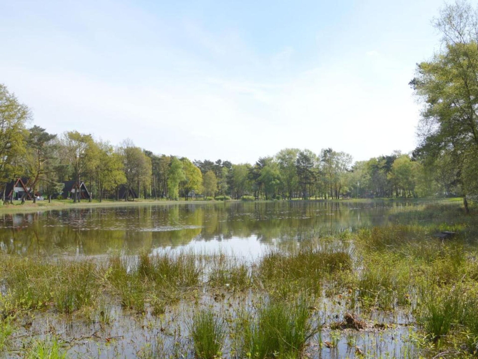 Vrijstaand boshuis met overdekt terras in hartje Limburgse natuur - foto 19