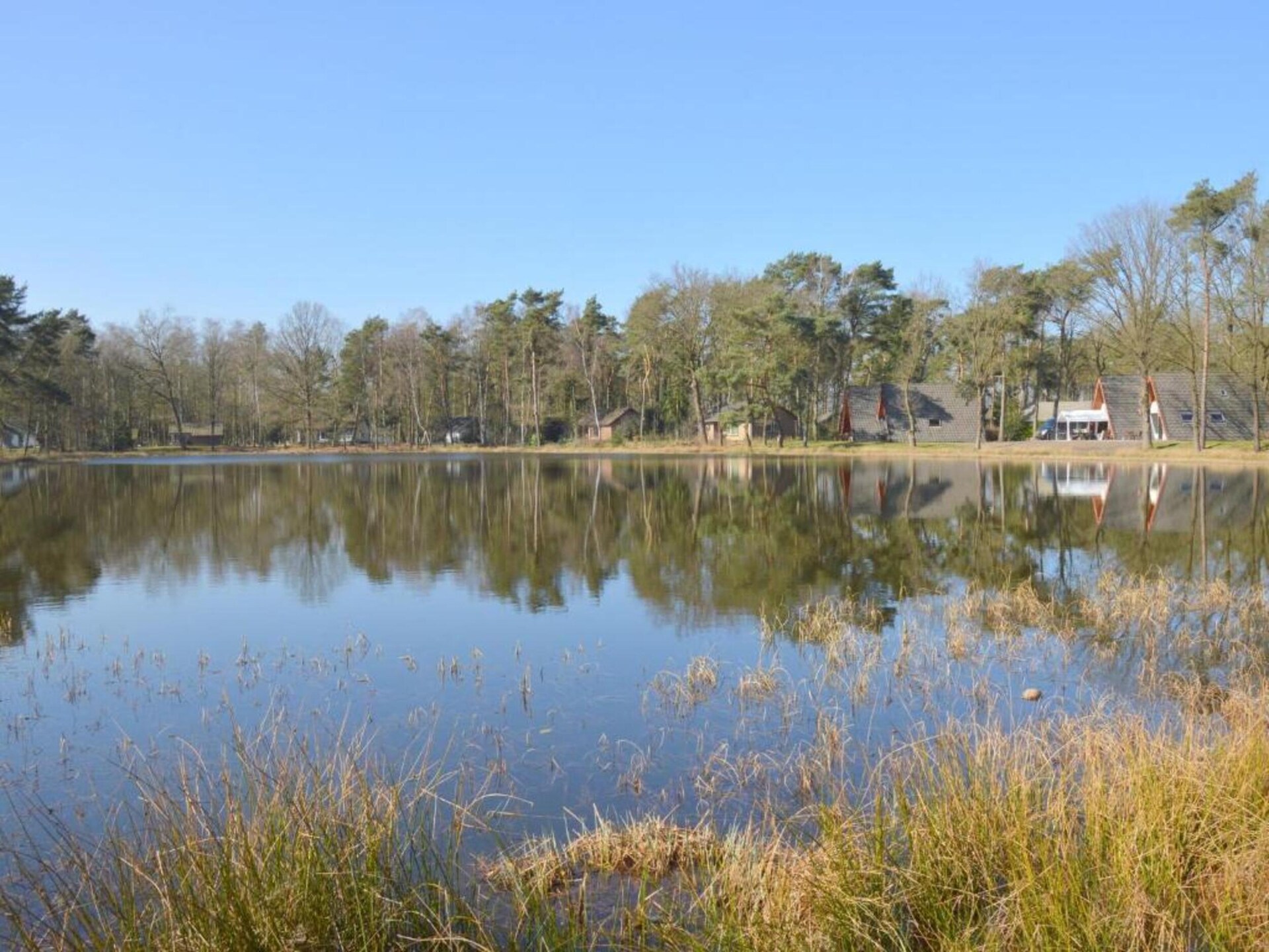 Vrijstaand boshuis met overdekt terras in hartje Limburgse natuur - foto 23