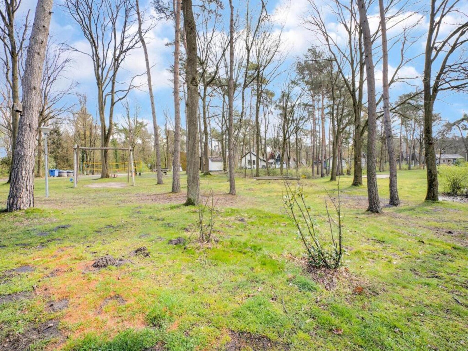 Vrijstaand boshuis met overdekt terras in hartje Limburgse natuur - foto 21