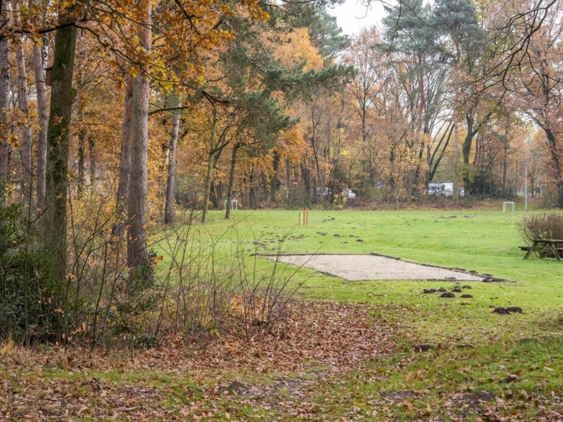 Vrijstaand boshuis met overdekt terras in hartje Limburgse natuur - foto 24