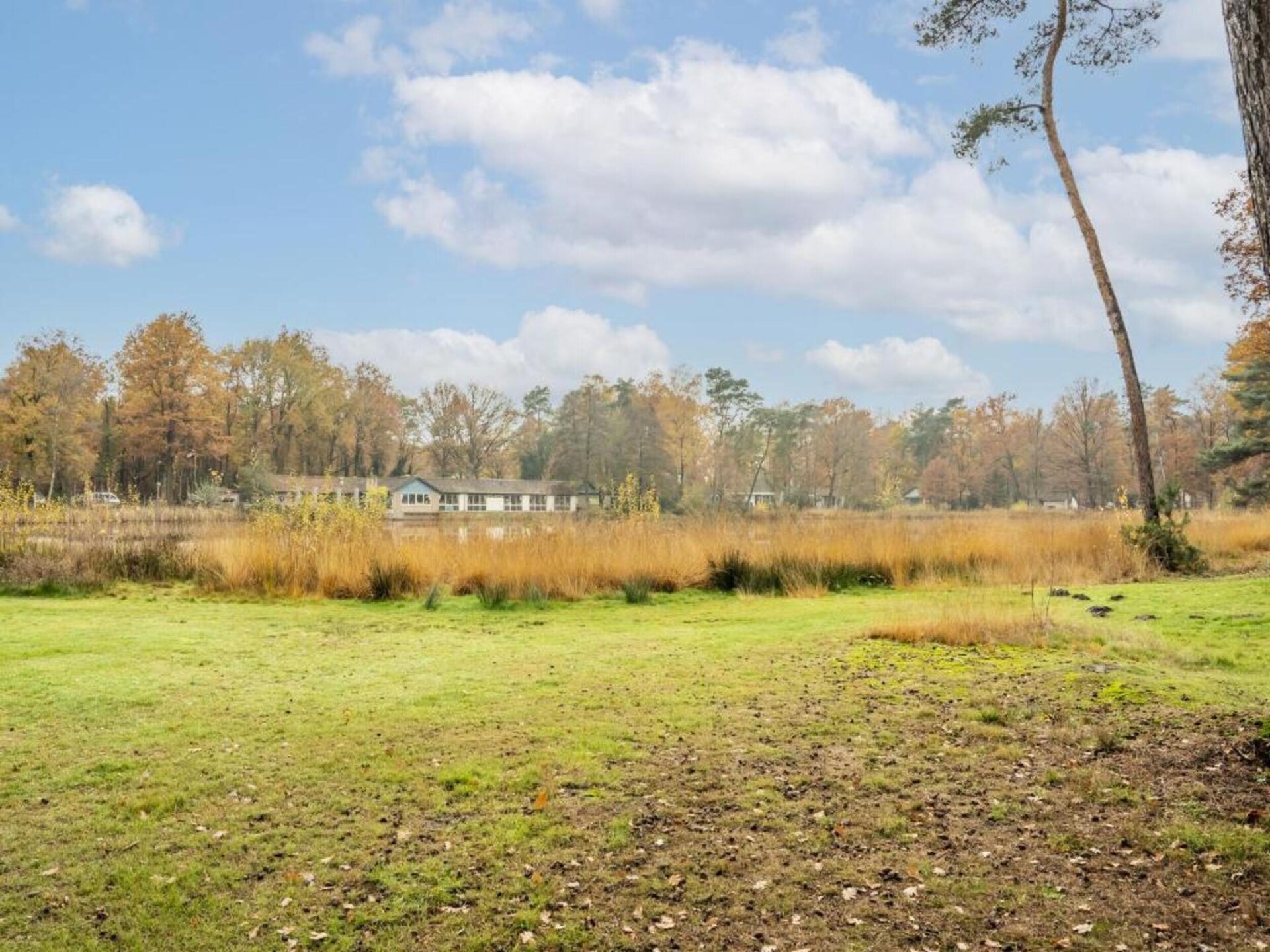 Vrijstaand boshuis met overdekt terras in hartje Limburgse natuur - foto 25