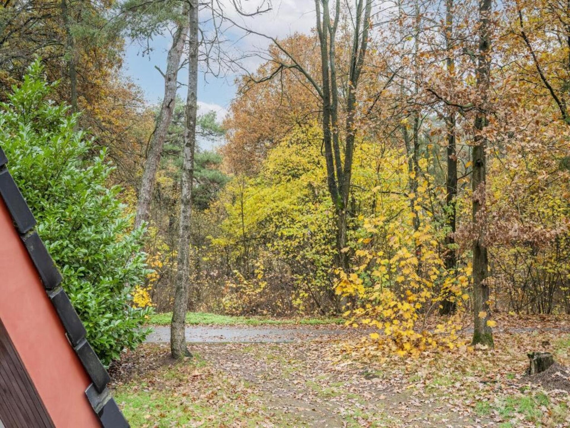 Vrijstaand boshuis met overdekt terras in hartje Limburgse natuur - foto 27