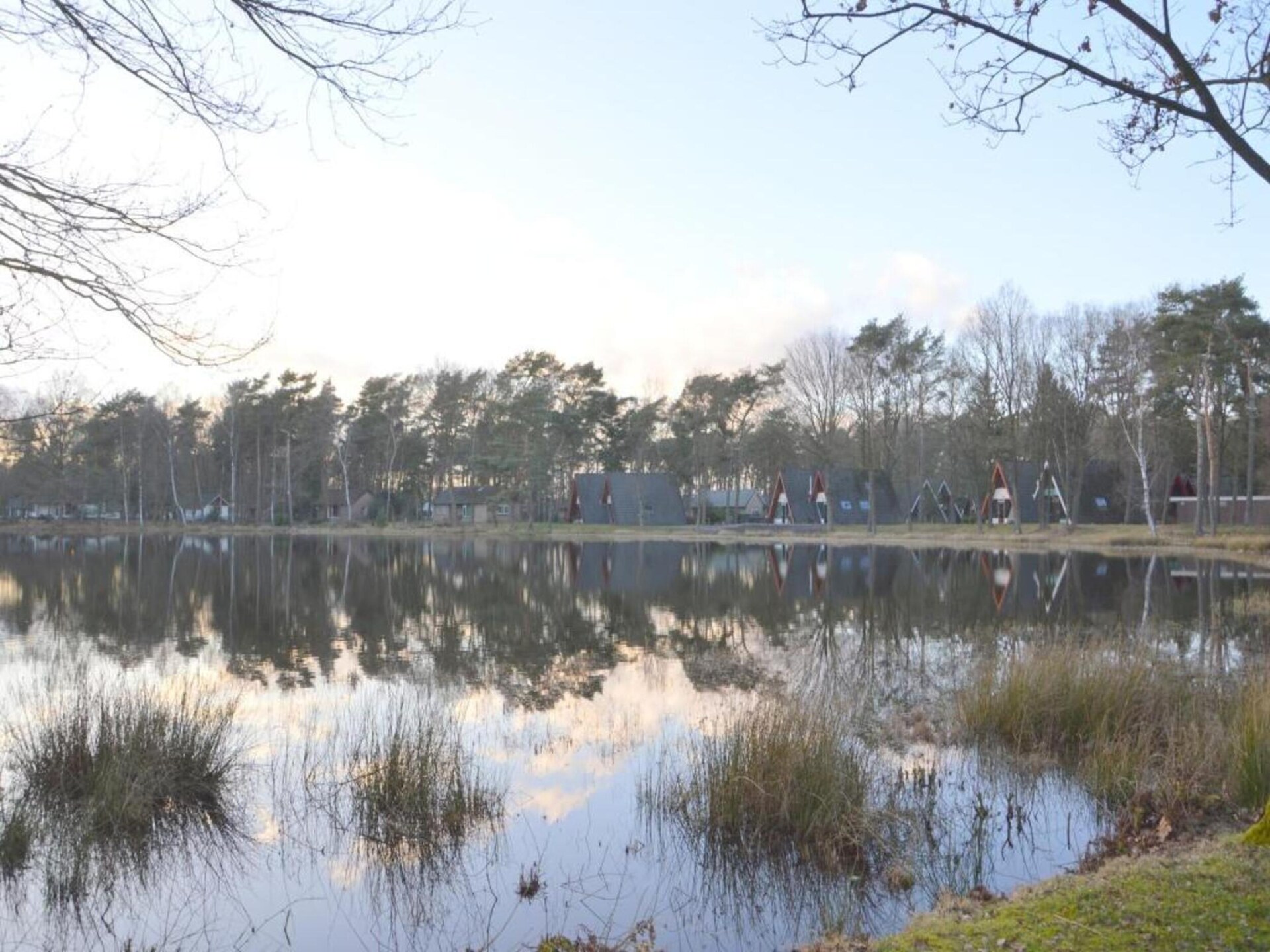 Vrijstaand boshuis met overdekt terras in hartje Limburgse natuur - foto 17