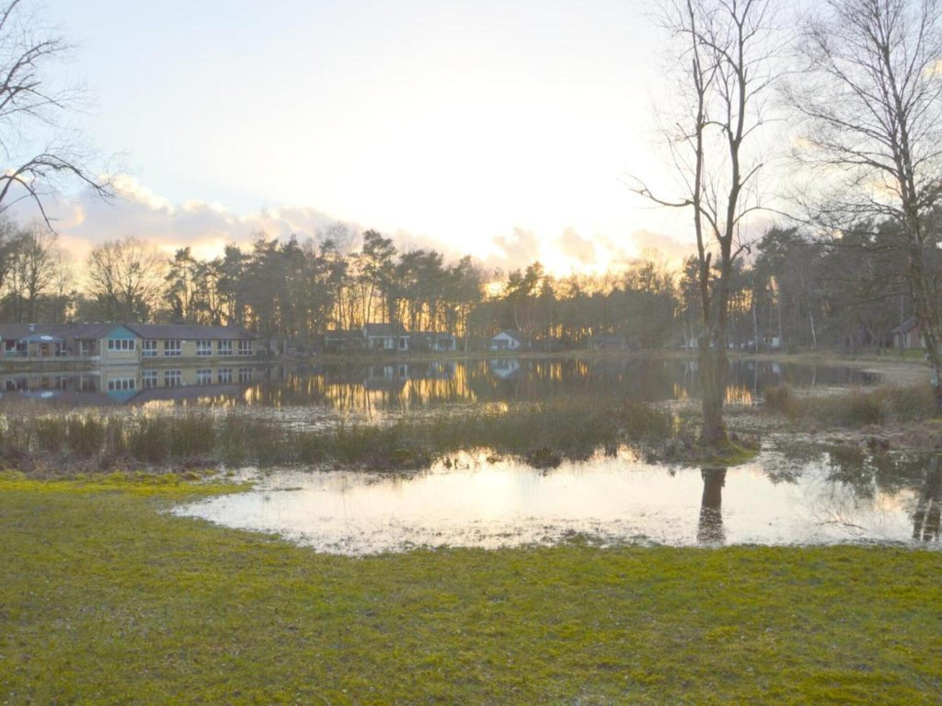 Vrijstaand boshuis met overdekt terras in hartje Limburgse natuur - foto 16