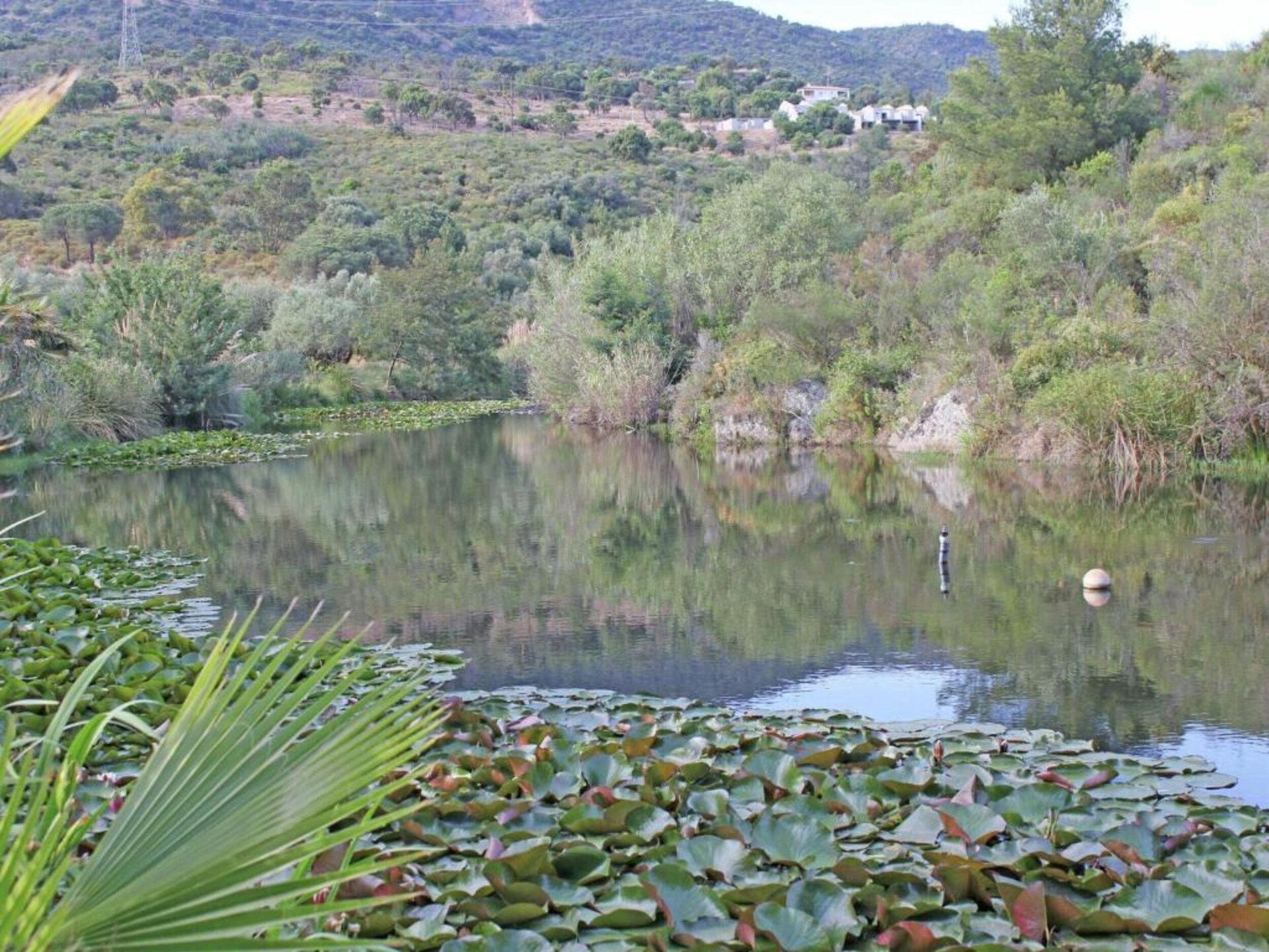 Villa La Ratatouille: Zee & Golf op 200 meter in Cavalaire-sur-Mer - foto 34