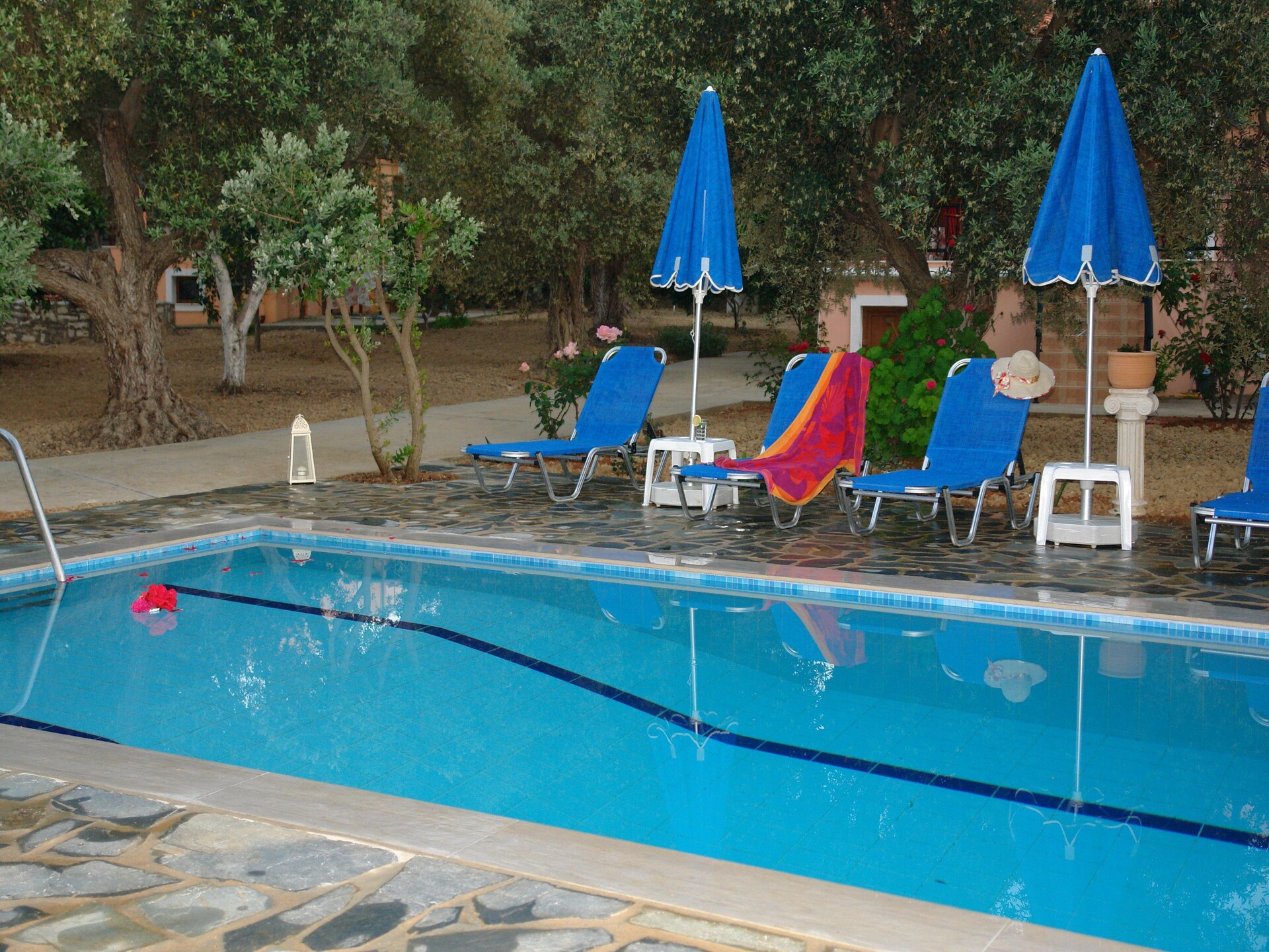 Villa Afroditi: Vrijstaand Kretenzisch huis met zwembad nabij Rethymno - foto 16