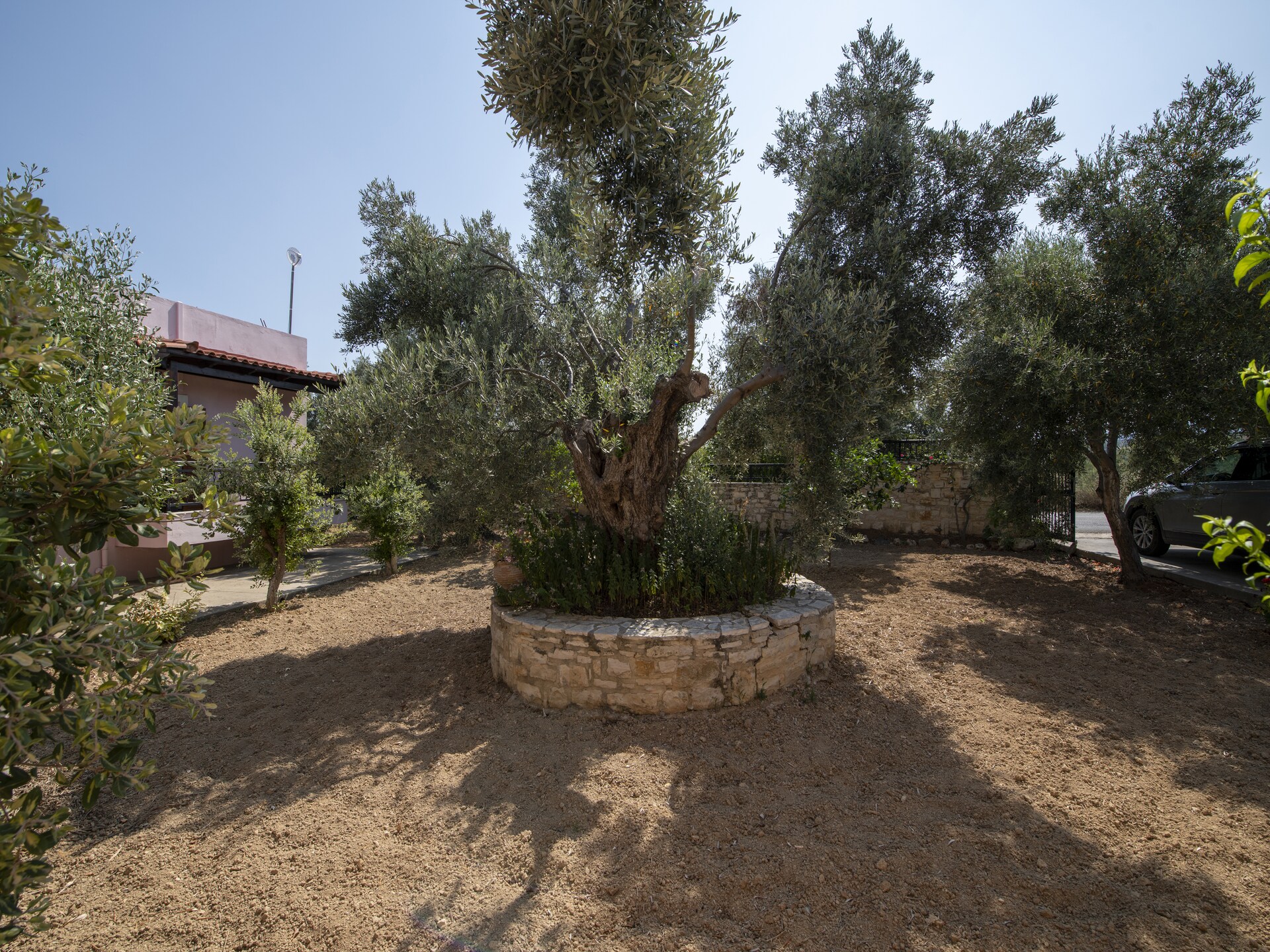 Villa Afroditi: Vrijstaand Kretenzisch huis met zwembad nabij Rethymno - foto 33