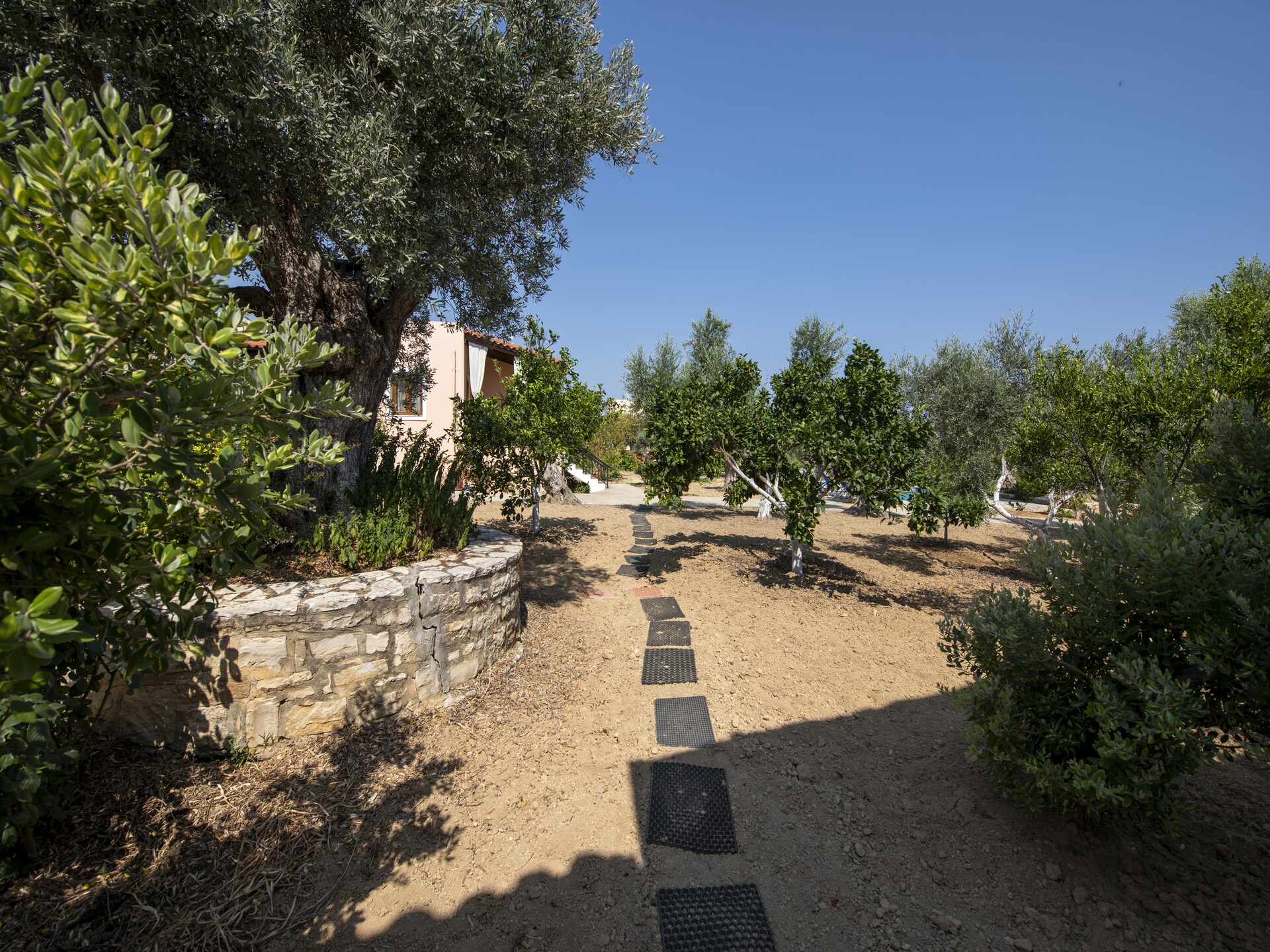 Villa Afroditi: Vrijstaand Kretenzisch huis met zwembad nabij Rethymno - foto 34