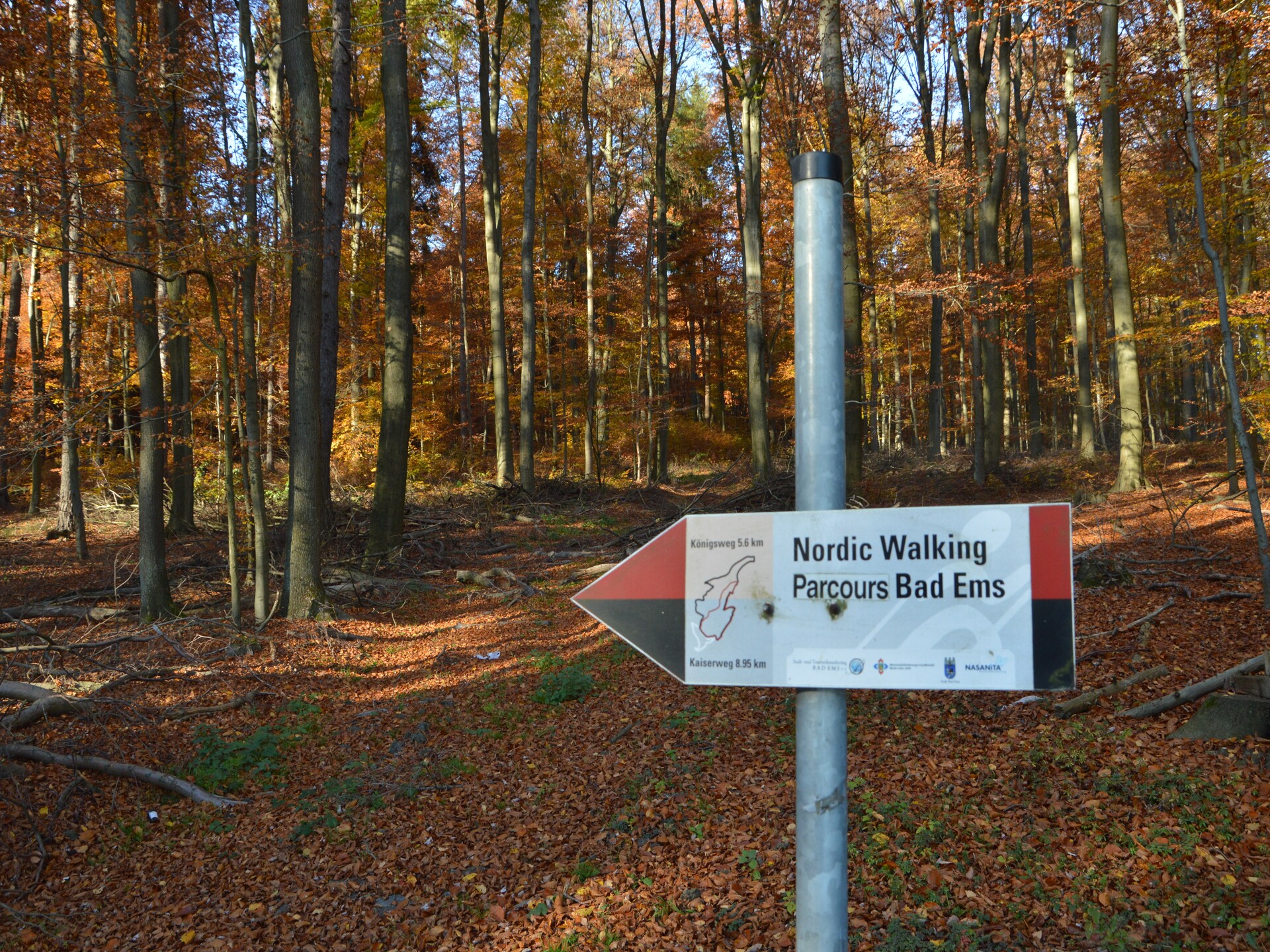 Groepsverblijf met privébar en sauna aan de golfbaan bij Bad Ems - foto 35