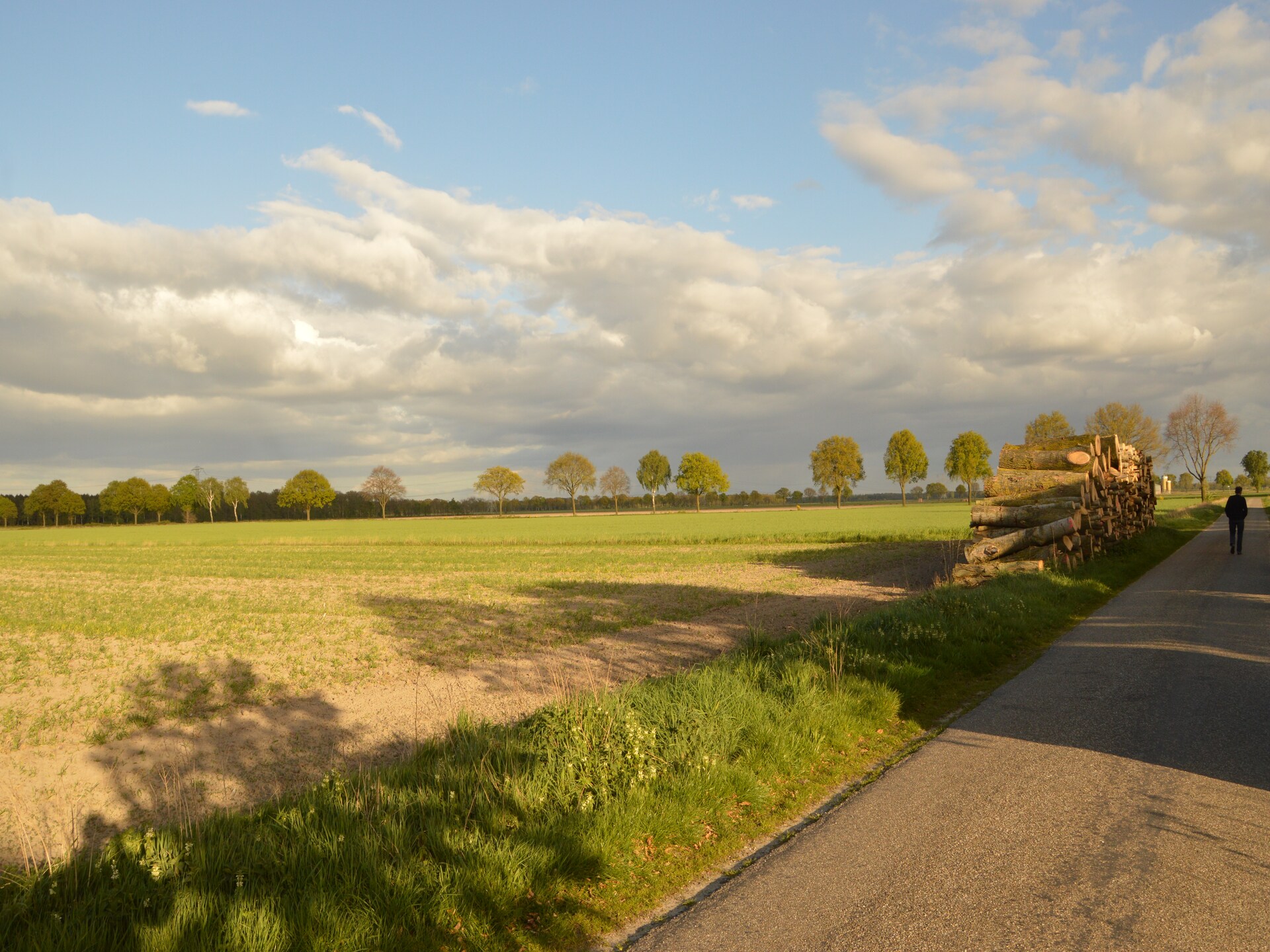 Bi-j Moppe Door: sfeervol vakantiehuis in bosrijk Limburg met hondvriendelijke tuin - foto 8