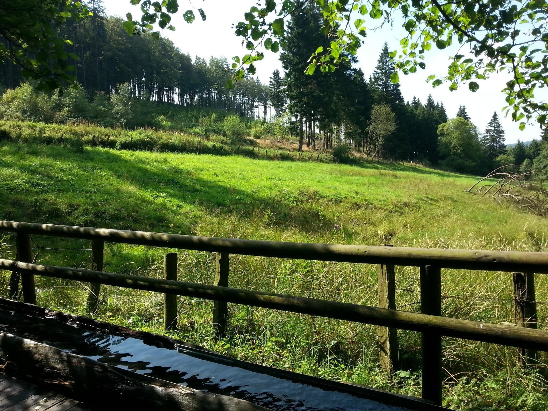 2-persoons appartement aan de piste in Willingen-Usseln - foto 15