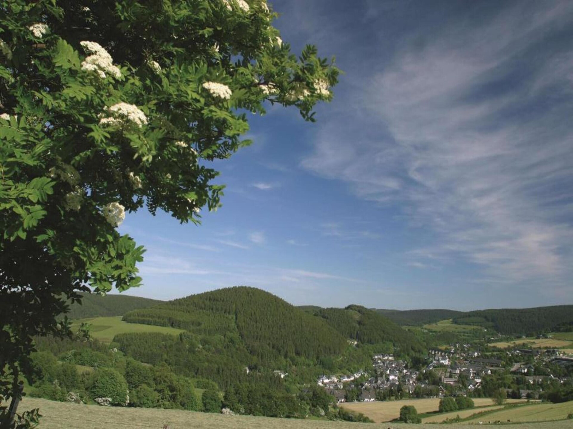 2-persoons appartement aan de piste in Willingen-Usseln - foto 29