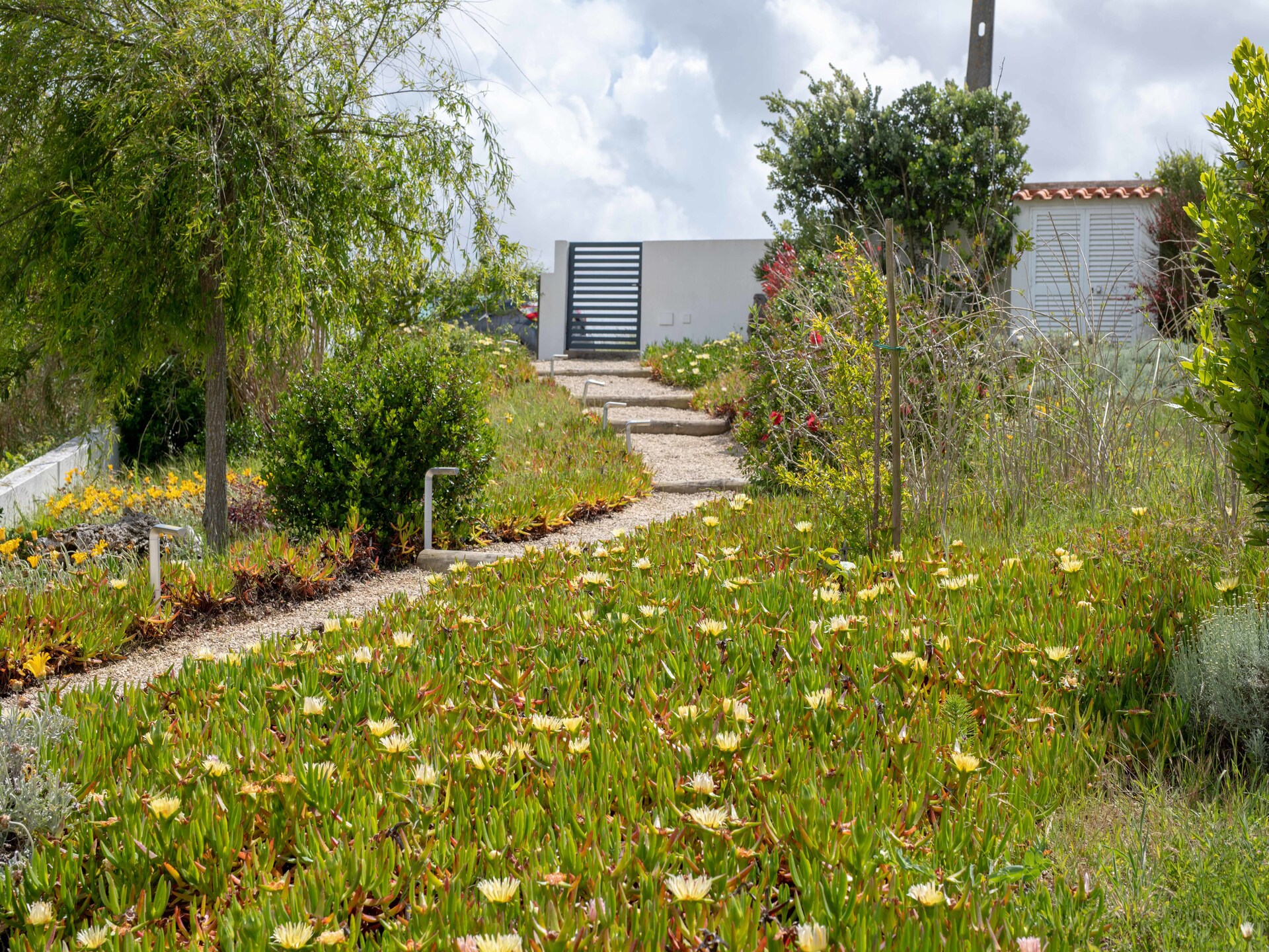 Panoramavakantie op de kliffen: Villa Cabana aan de Atlantische kust - foto 25