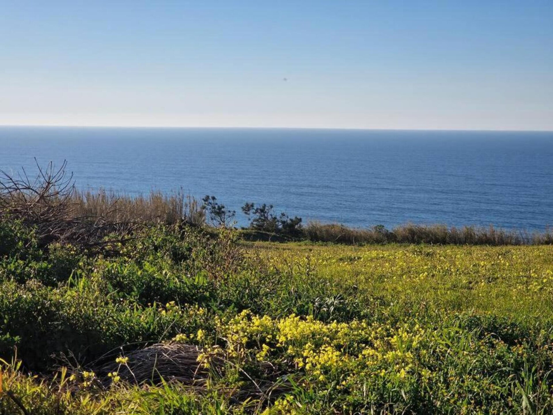 Panoramavakantie op de kliffen: Villa Cabana aan de Atlantische kust - foto 36