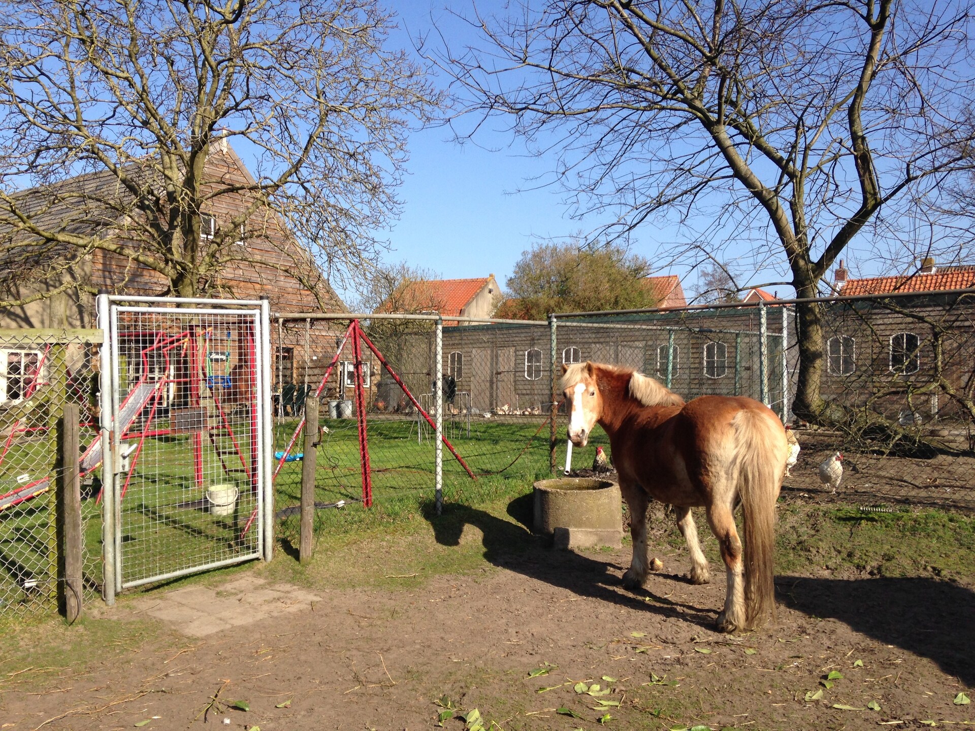 Pipowagen de Weideblick: uniek overnachten met weids uitzicht bij Bergen op Zoom - foto 14