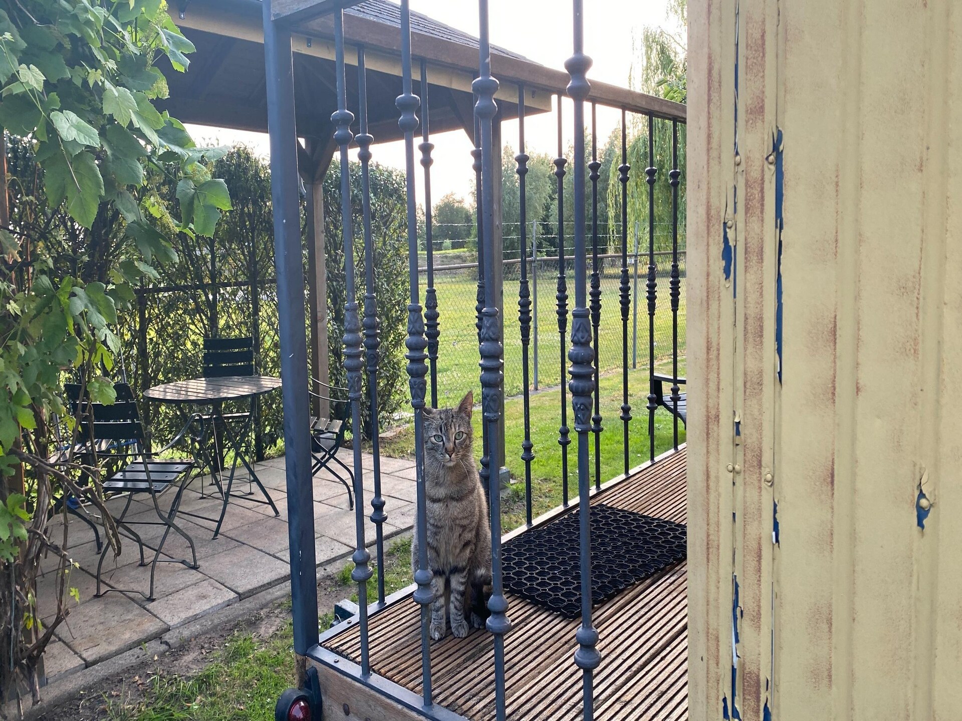 Pipowagen de Weideblick: uniek overnachten met weids uitzicht bij Bergen op Zoom - foto 21