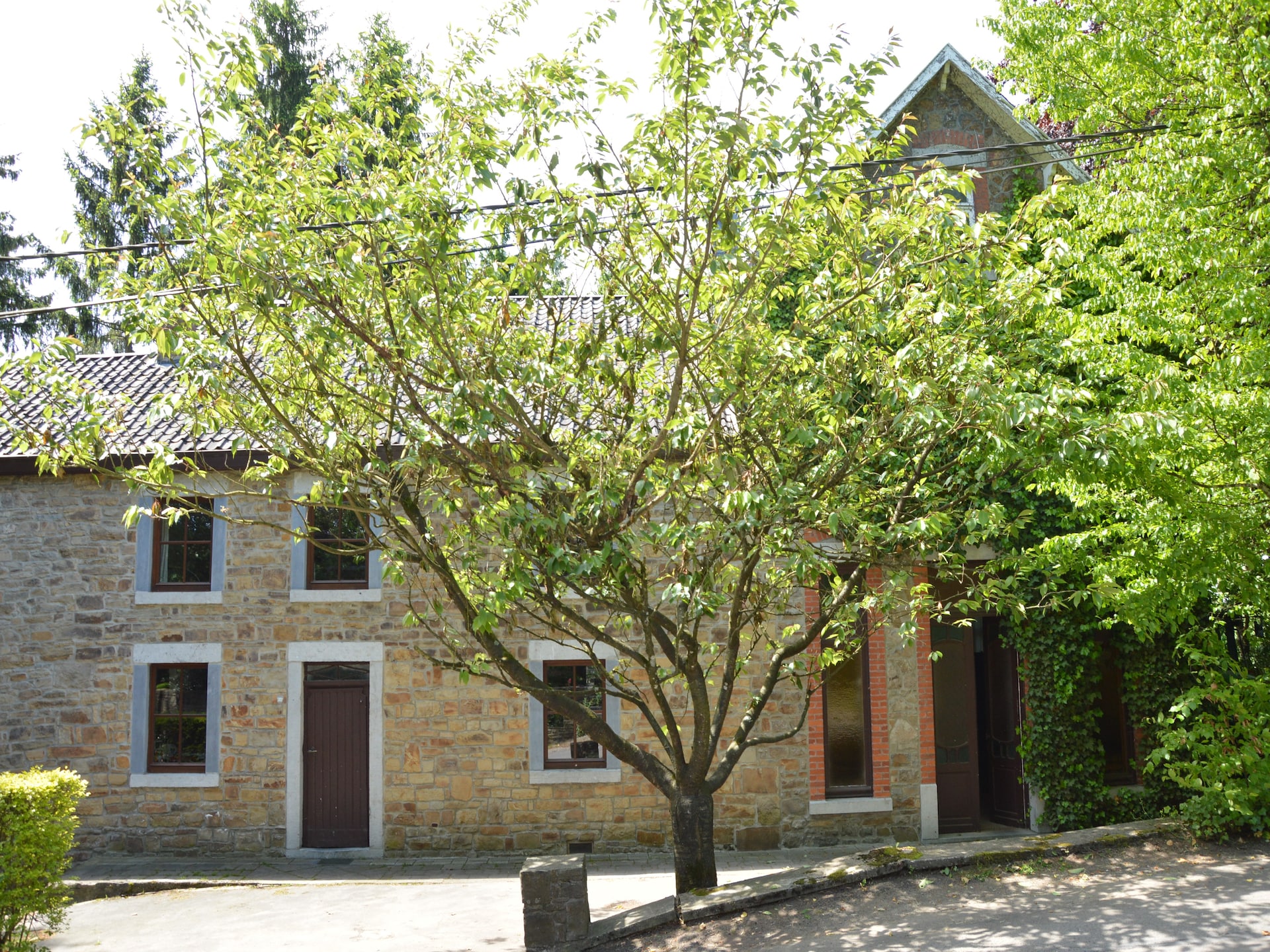 Gezellig 5-persoons vakantiehuis met open haard in Ferrières - foto 10