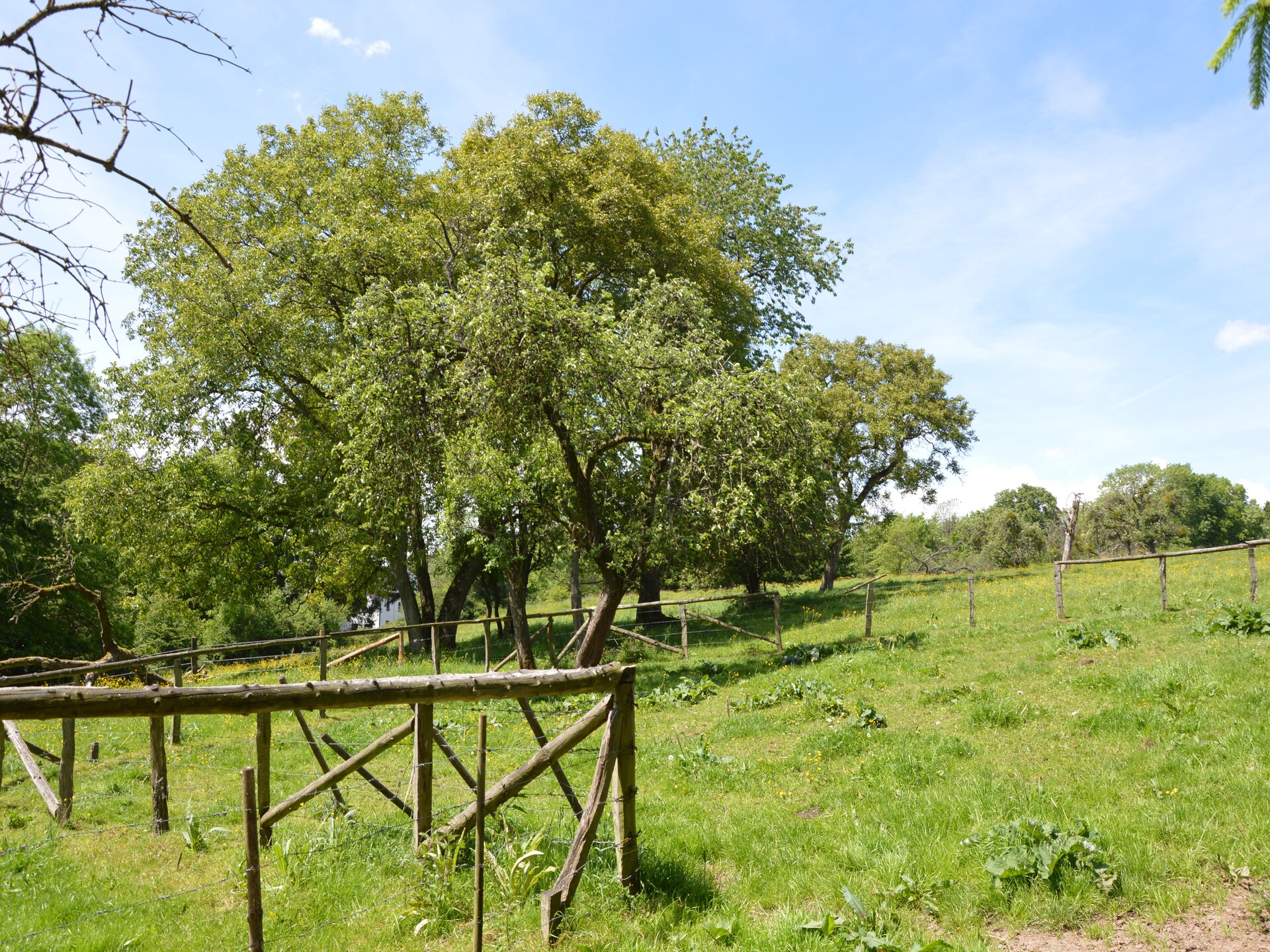 Gezellig 5-persoons vakantiehuis met open haard in Ferrières - foto 26