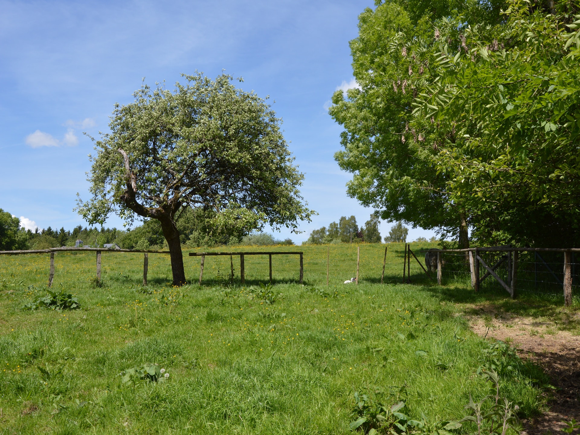 Gezellig 5-persoons vakantiehuis met open haard in Ferrières - foto 25
