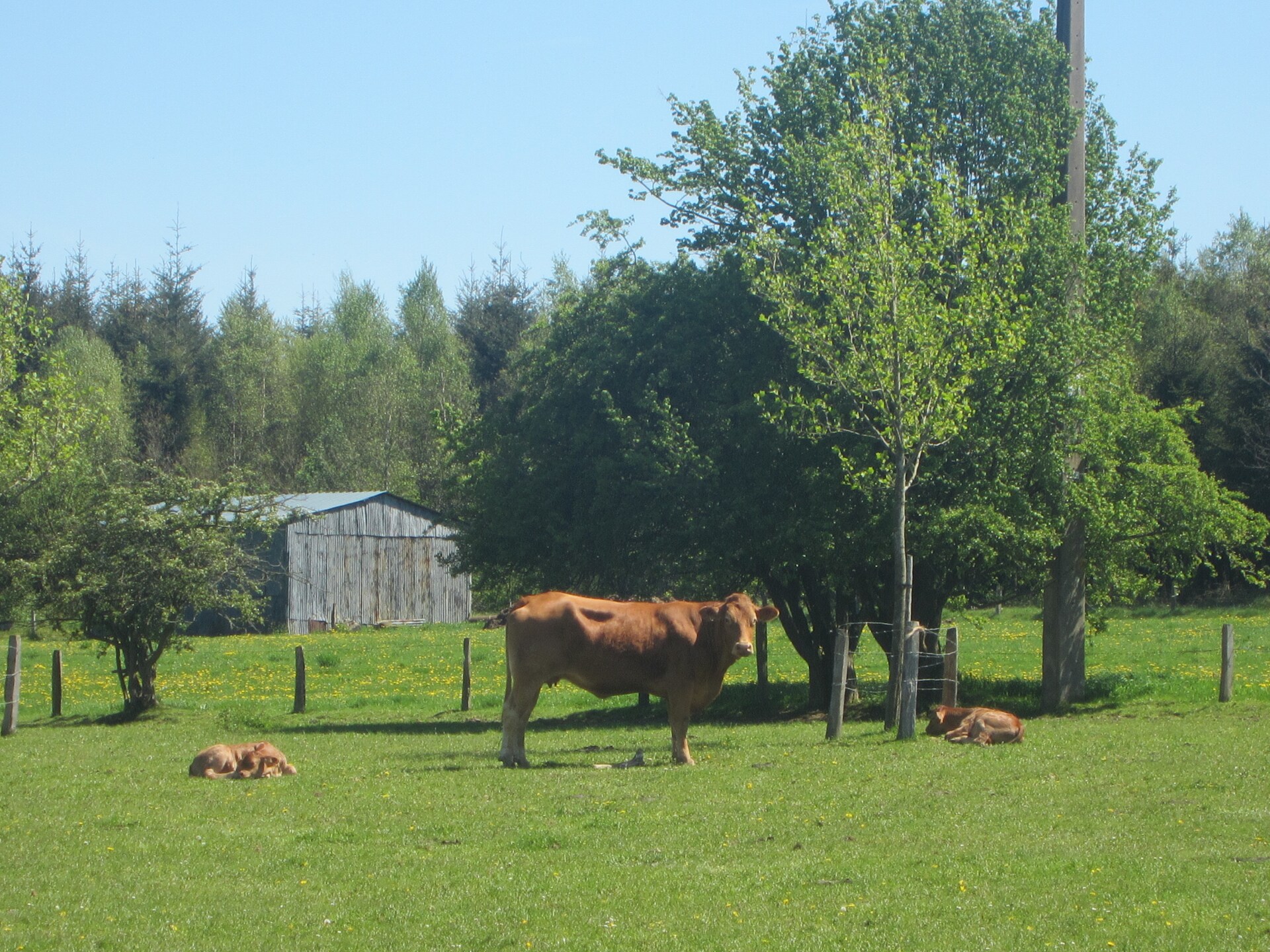 Gezellig 5-persoons vakantiehuis met open haard in Ferrières - foto 28