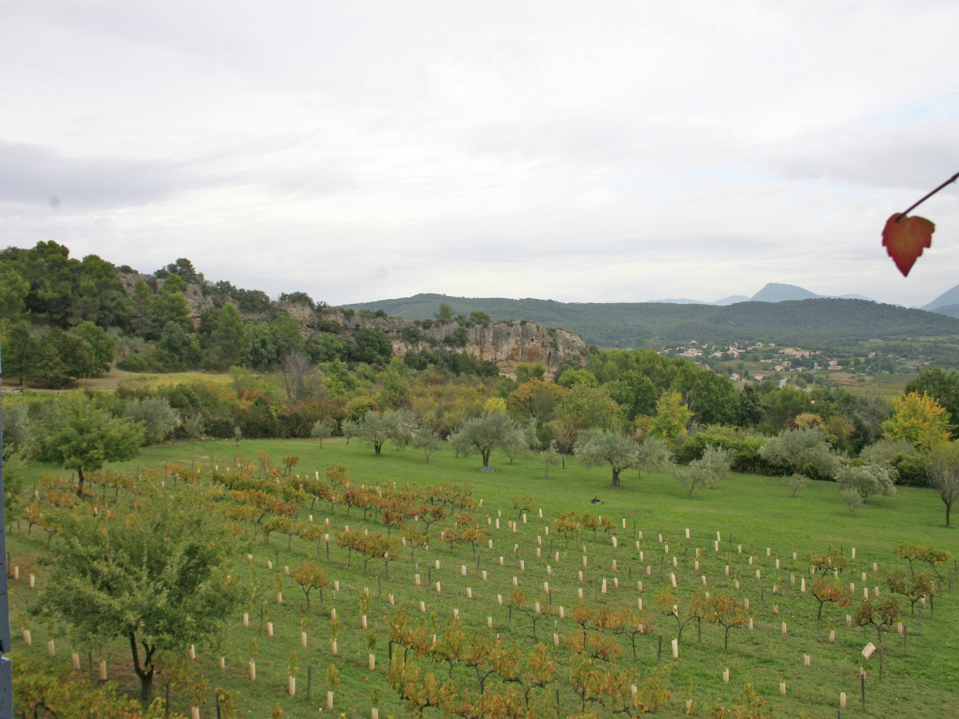 Ruim landhuis Grande Maison in Vaison-la-Romaine voor 12 personen - foto 27
