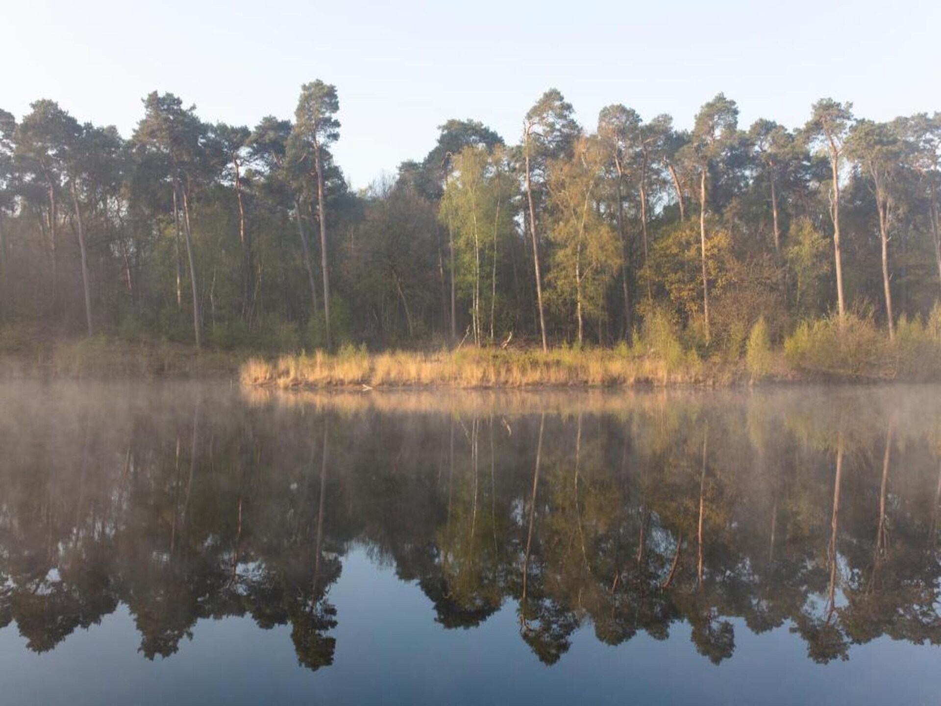 Jules Verne: sprookjesachtig vakantiehuis voor 8 personen in het bos - foto 34