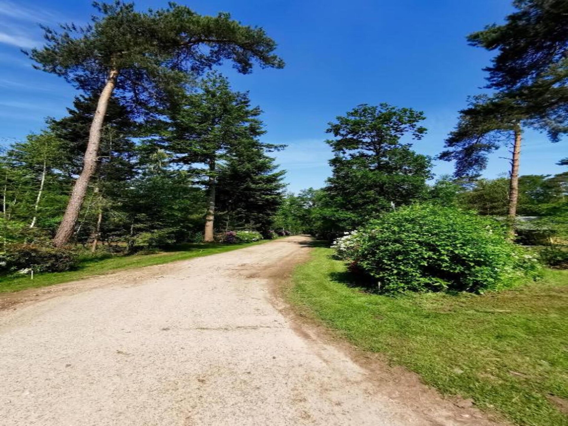 't Kokhuus: sfeervol vakantiehuis in de bossen van Holten - foto 34