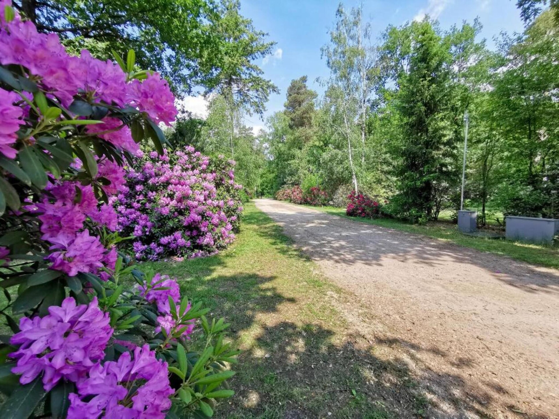 't Kokhuus: sfeervol vakantiehuis in de bossen van Holten - foto 22