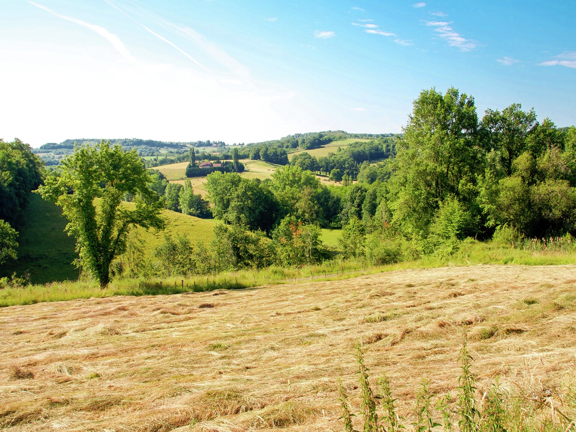 Vrijstaand vakantiehuis voor 10 personen in het bos bij Teillots, Dordogne - foto 36