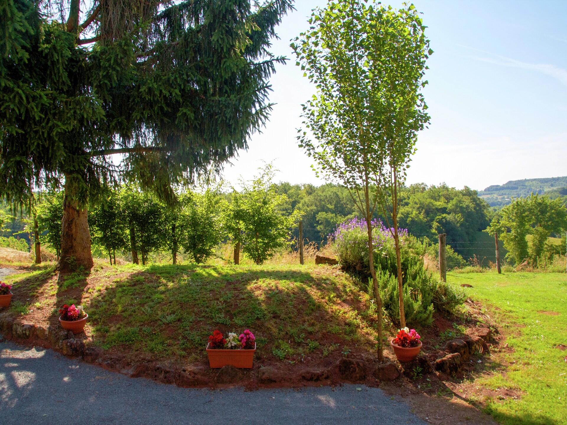 Vrijstaand vakantiehuis voor 10 personen in het bos bij Teillots, Dordogne - foto 37