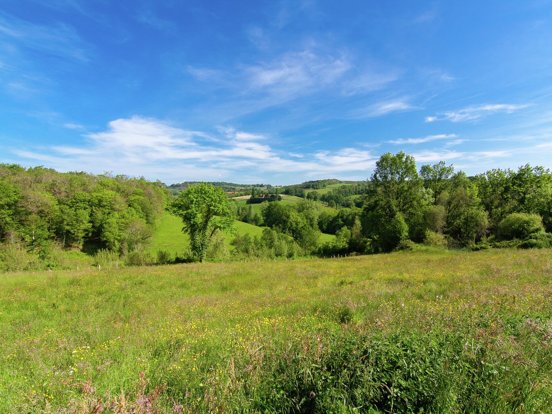 Vrijstaand vakantiehuis voor 10 personen in het bos bij Teillots, Dordogne - foto 35
