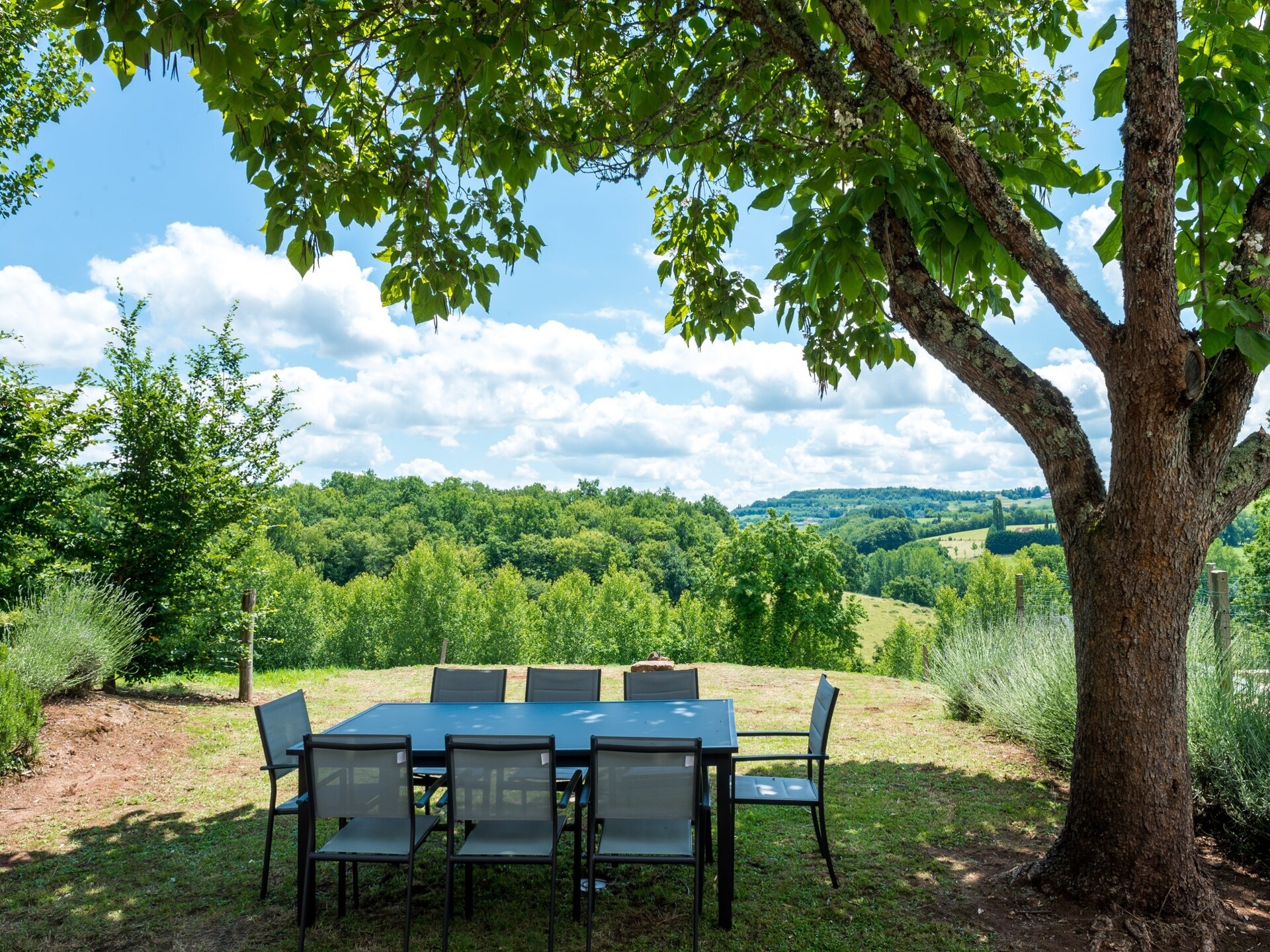 Vrijstaand vakantiehuis voor 10 personen in het bos bij Teillots, Dordogne - foto 33