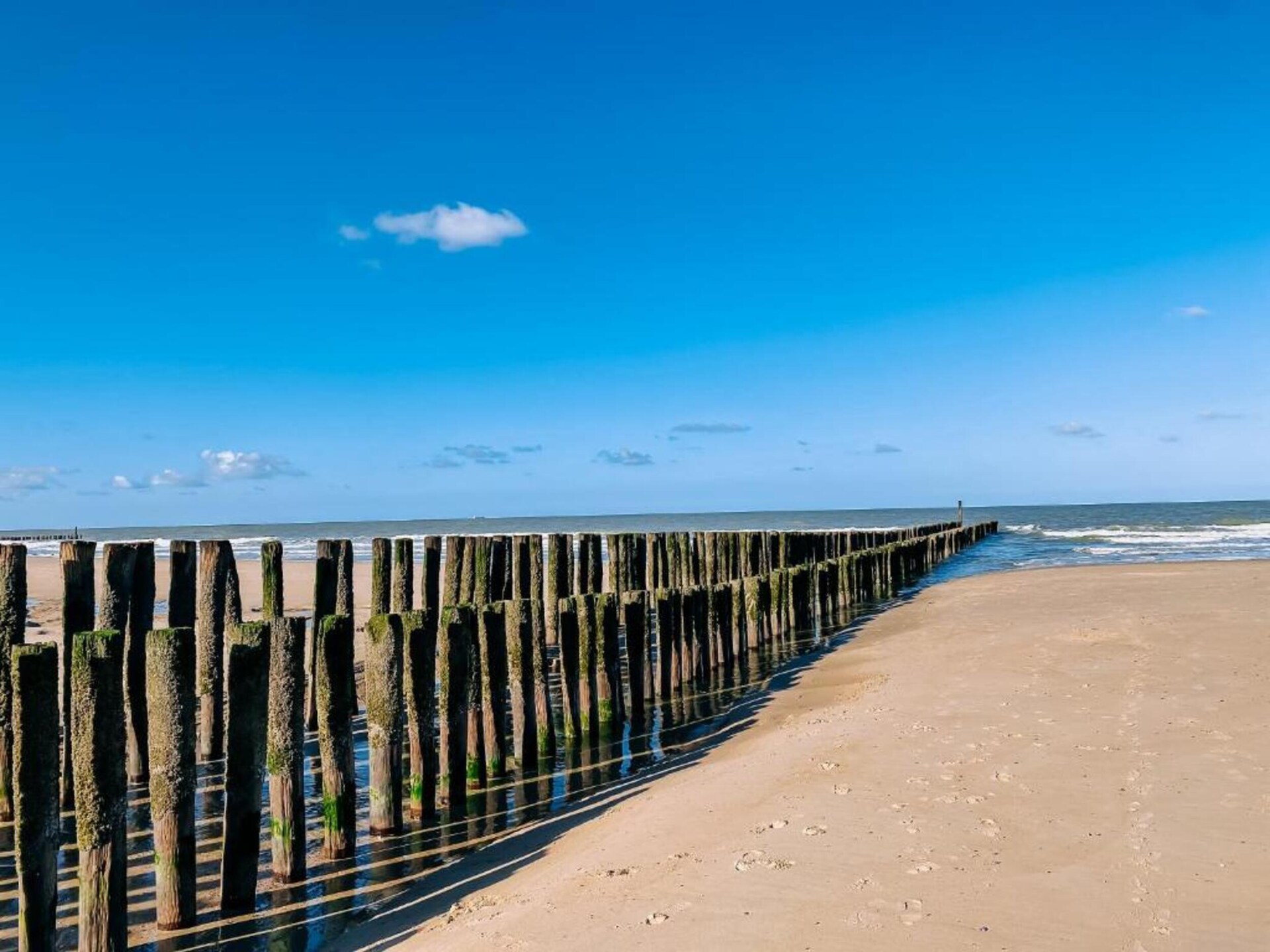 Stijlvol appartement op 200m van het strand in Domburg - foto 19
