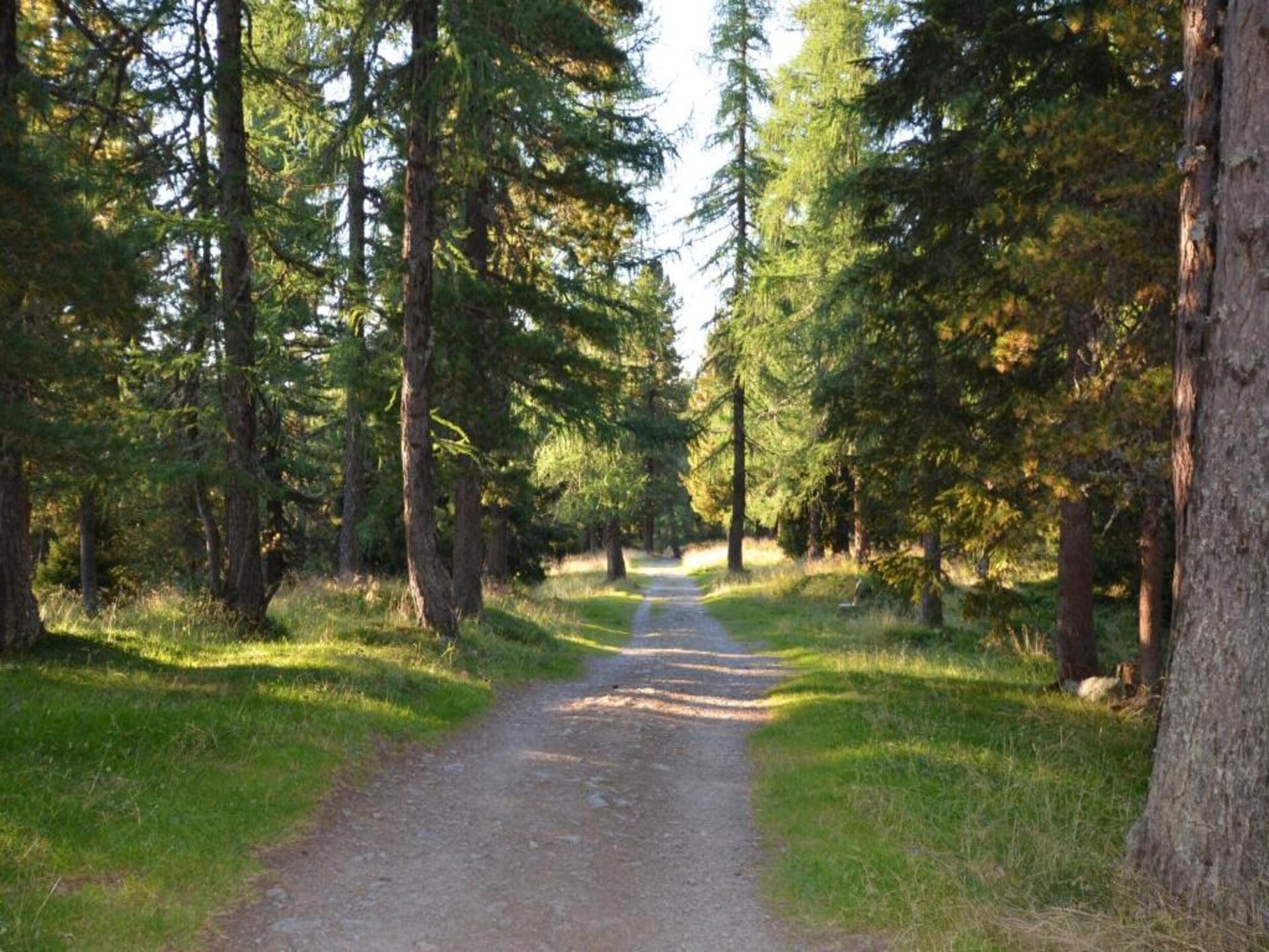 Vrijstaand vakantiehuis in de bossen bij Gröbming met bergzicht - foto 35