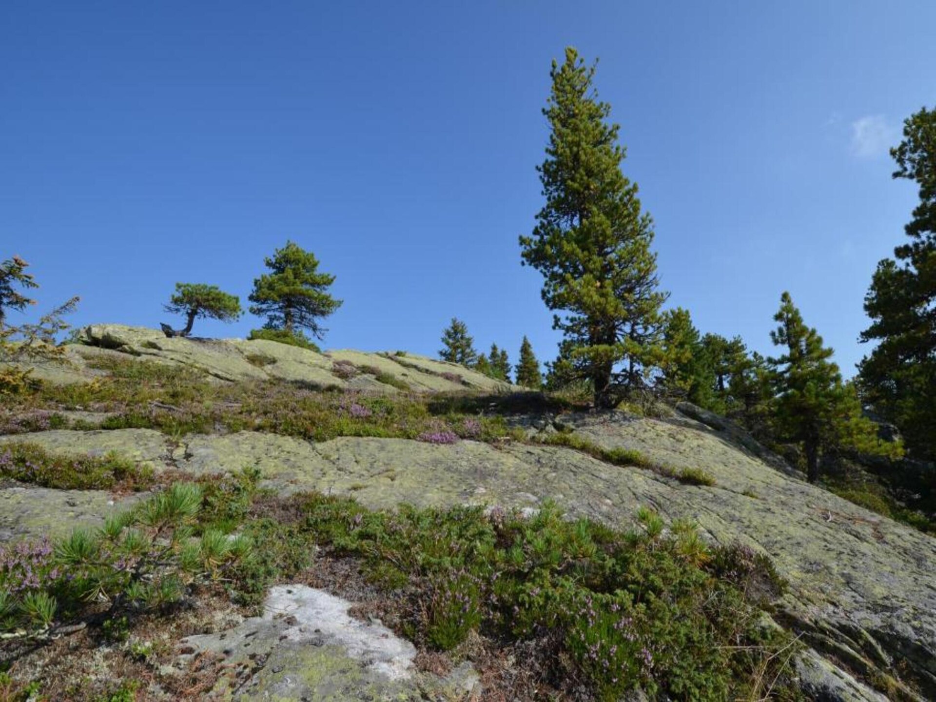 Vrijstaand vakantiehuis in de bossen bij Gröbming met bergzicht - foto 36