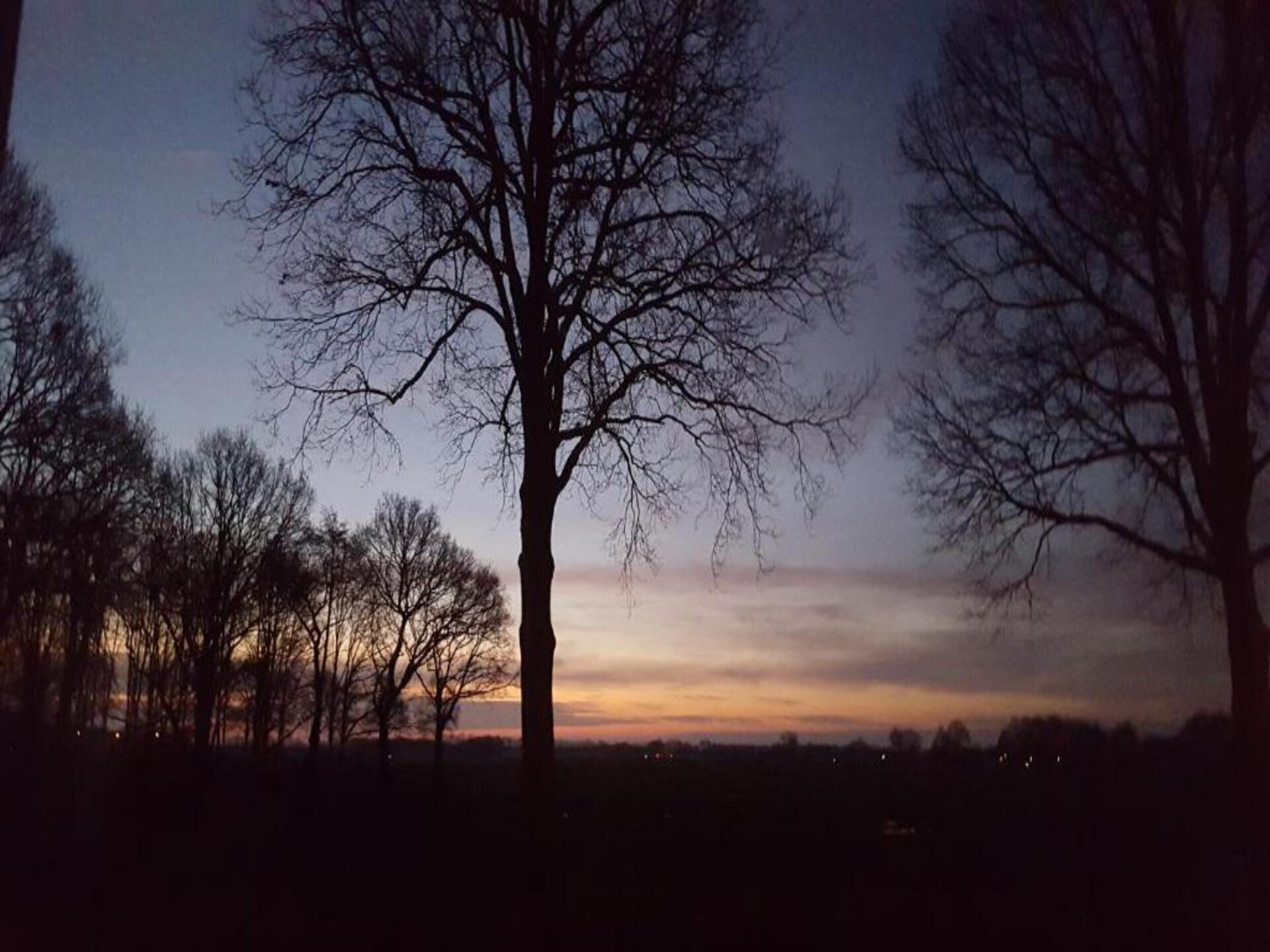 Vrijstaand vakantiehuis met panoramisch uitzicht op het Mantingerzand - foto 39