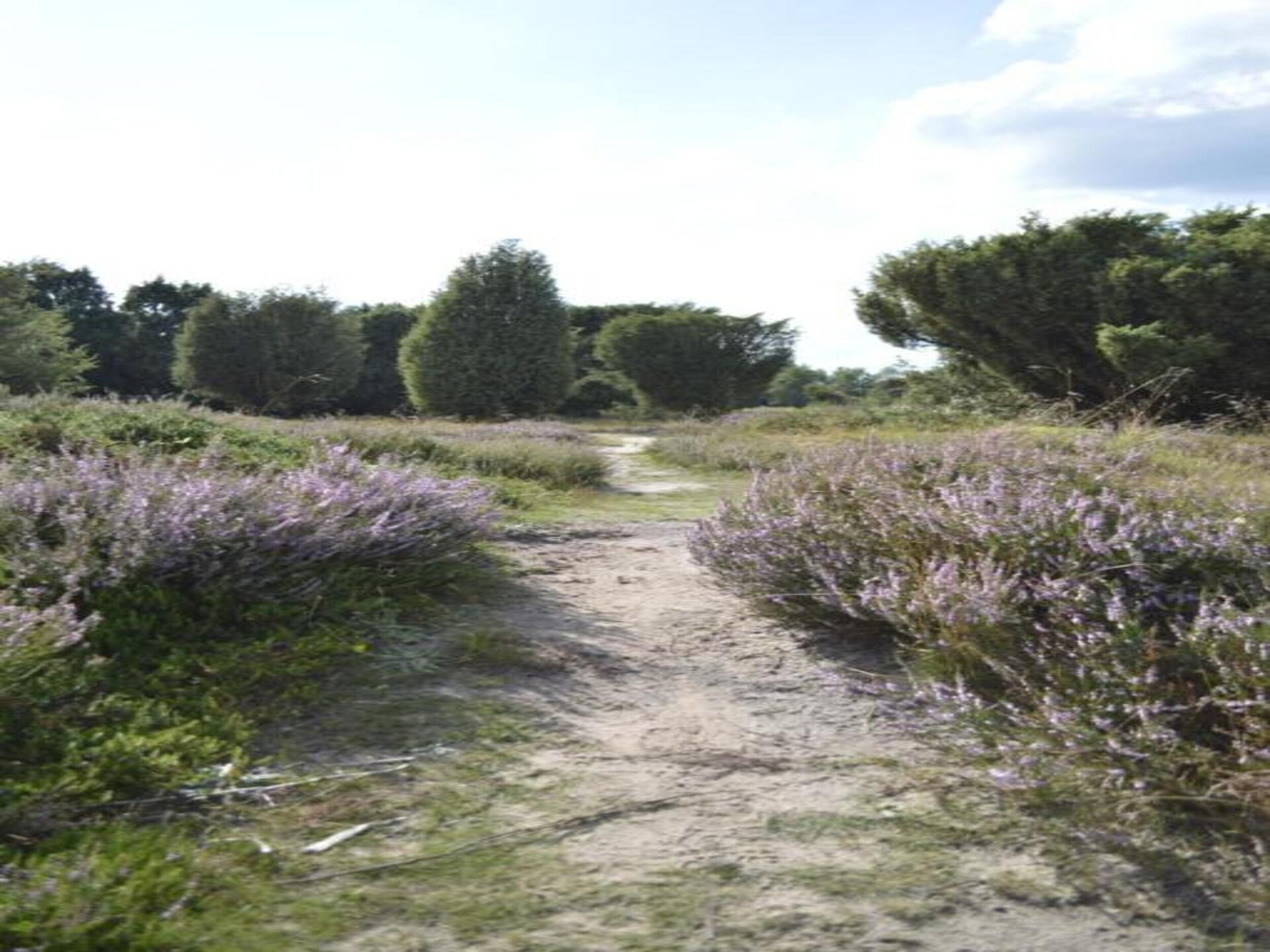 Vrijstaand vakantiehuis met panoramisch uitzicht op het Mantingerzand - foto 32