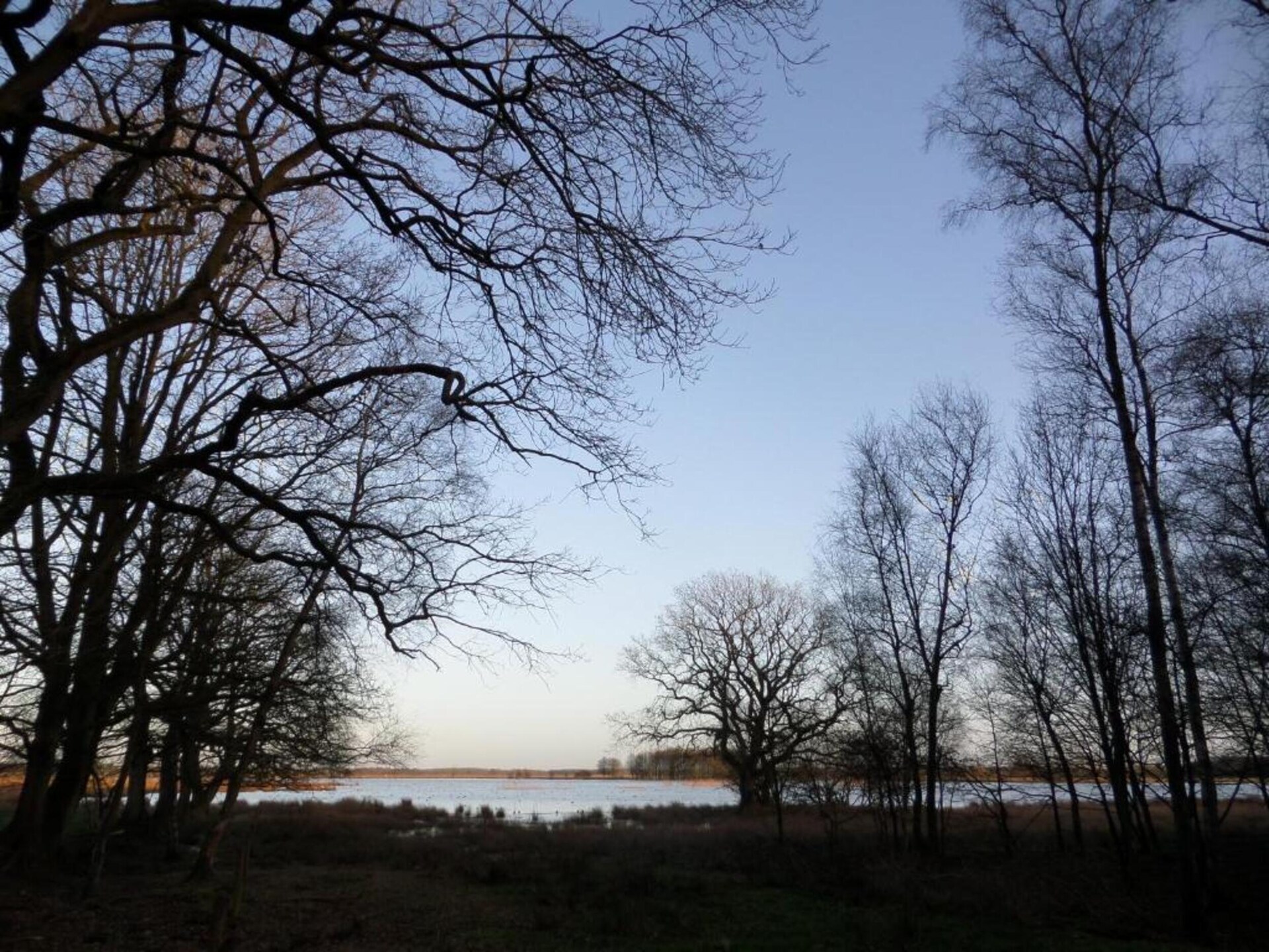 Vrijstaand vakantiehuis met panoramisch uitzicht op het Mantingerzand - foto 31