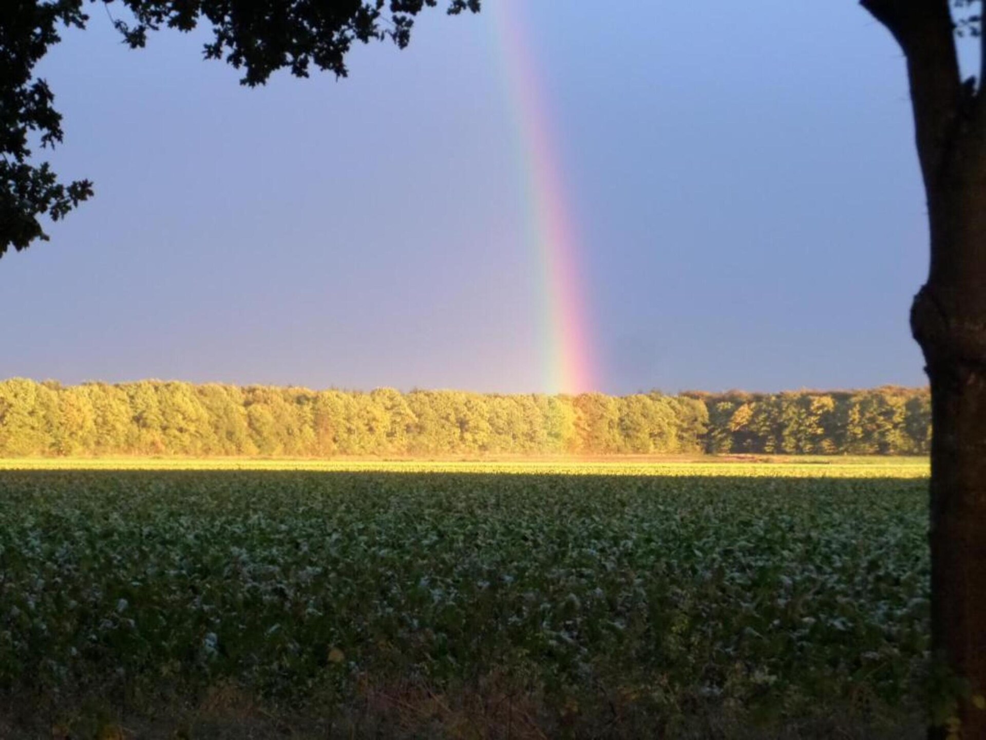 Vrijstaand vakantiehuis met panoramisch uitzicht op het Mantingerzand - foto 34